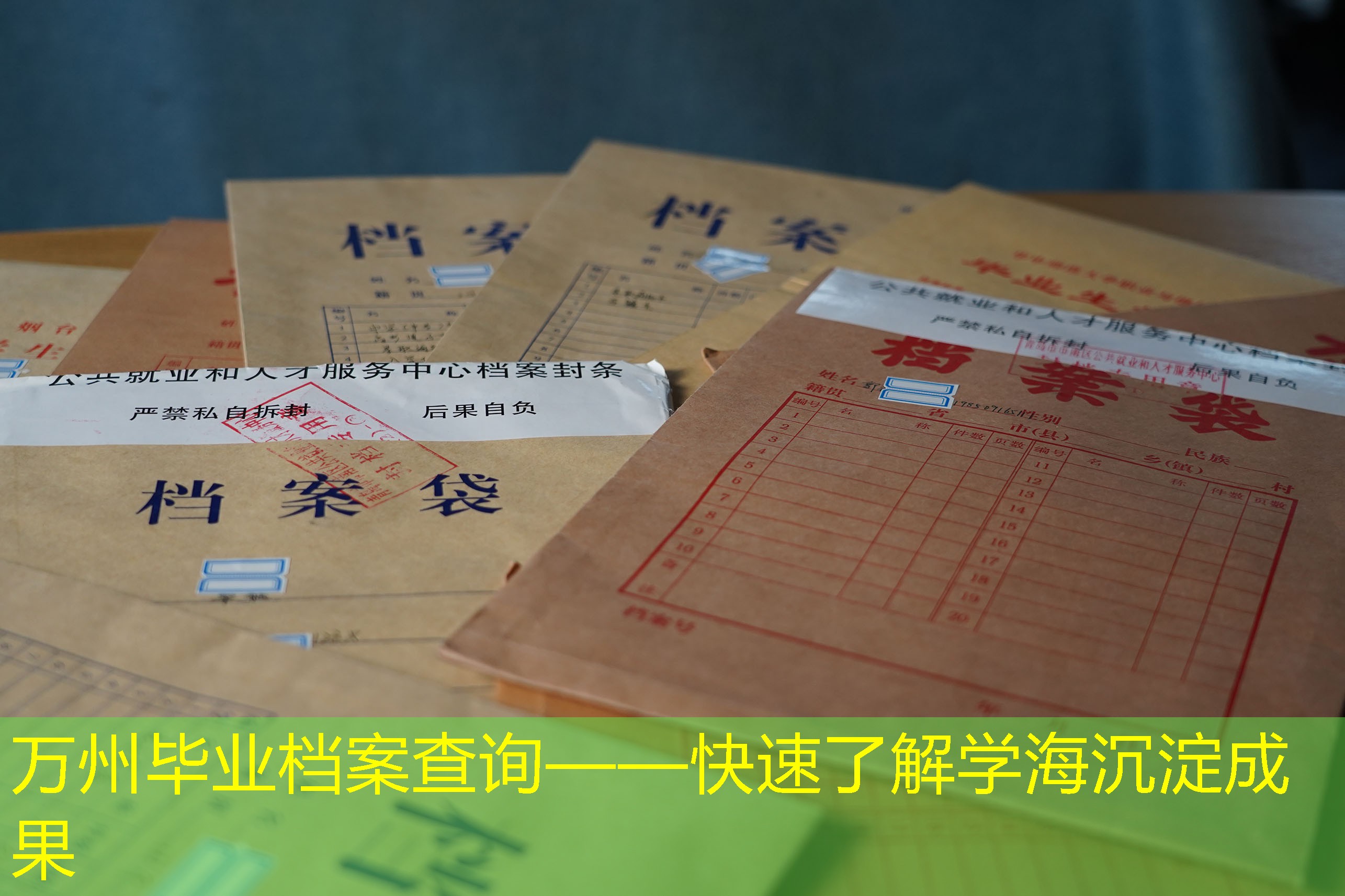 档案查询