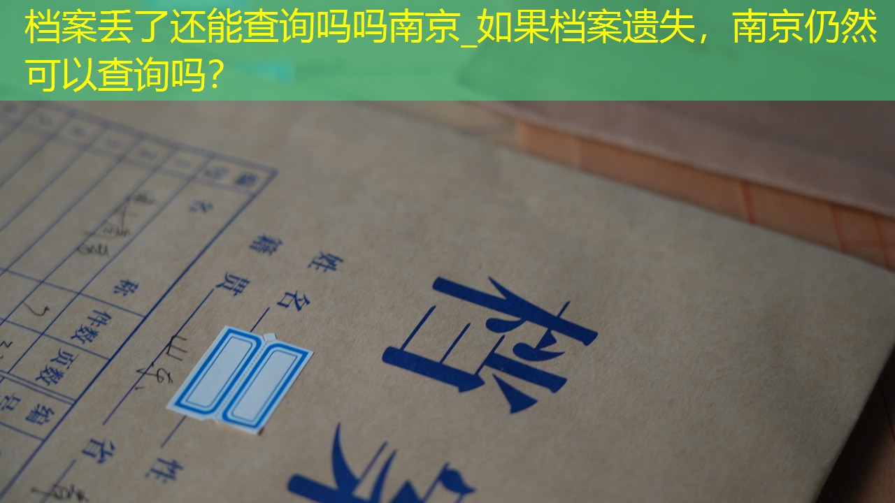 档案查询