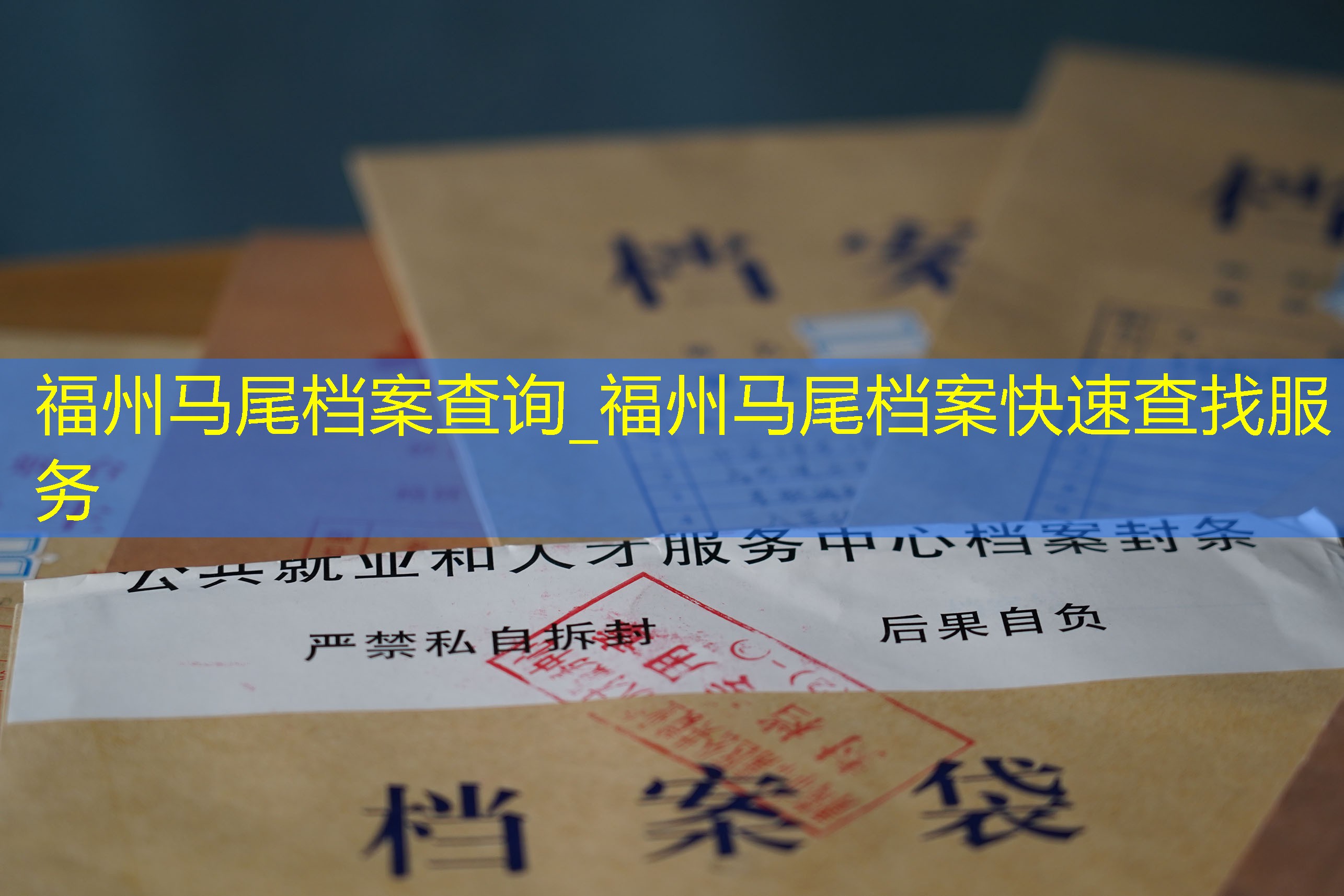 档案查询