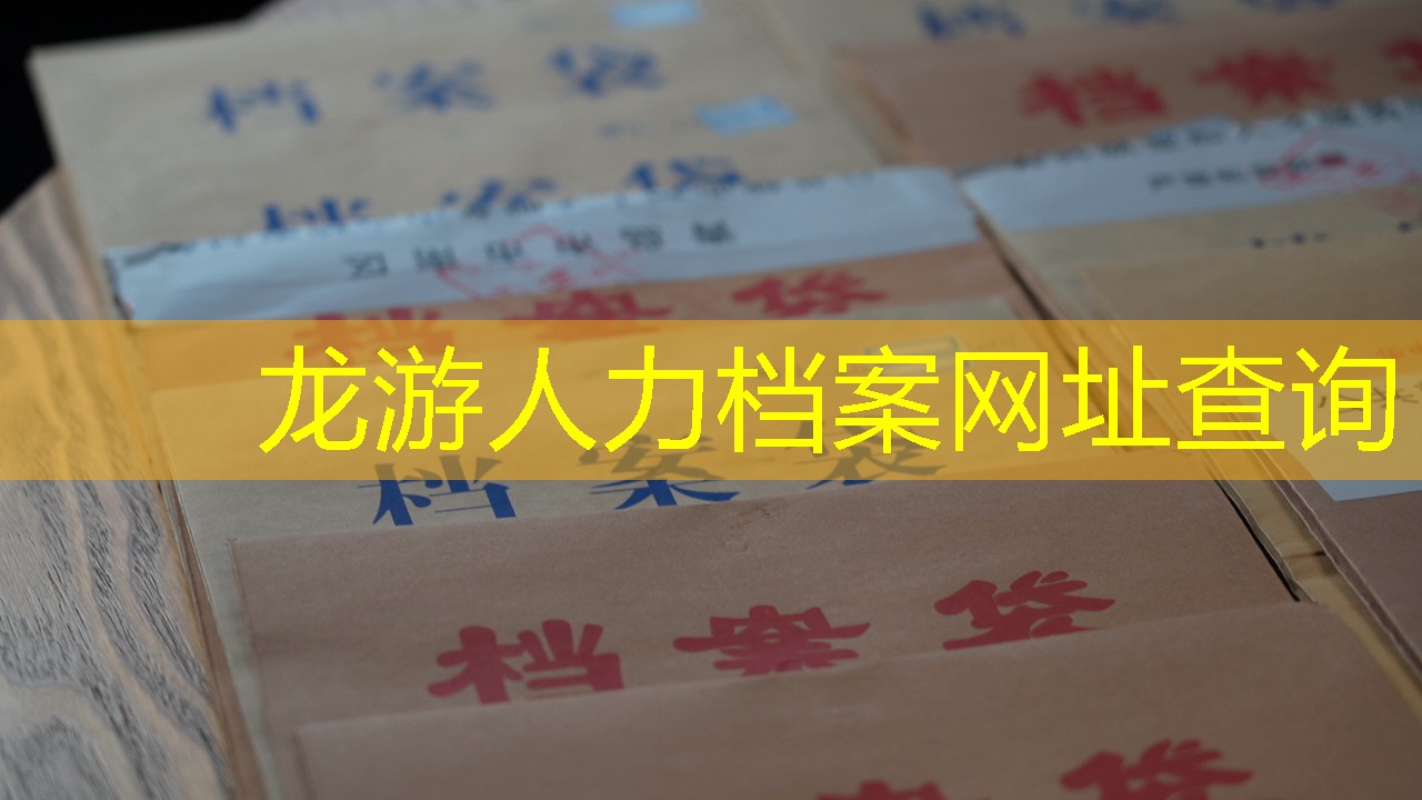 档案查询