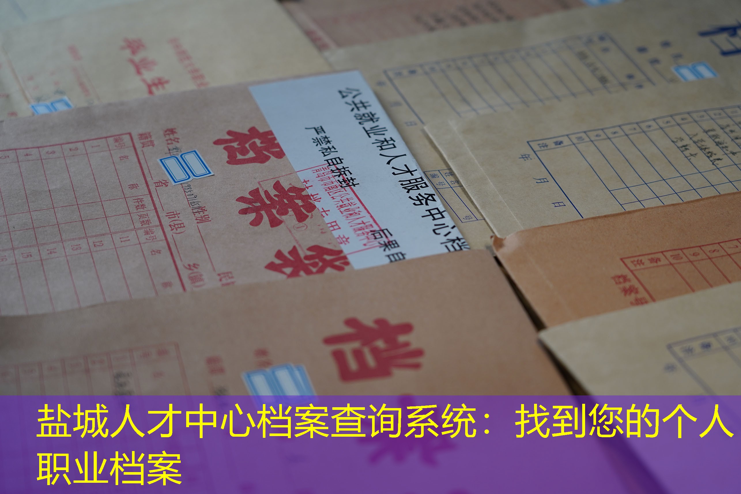 档案查询