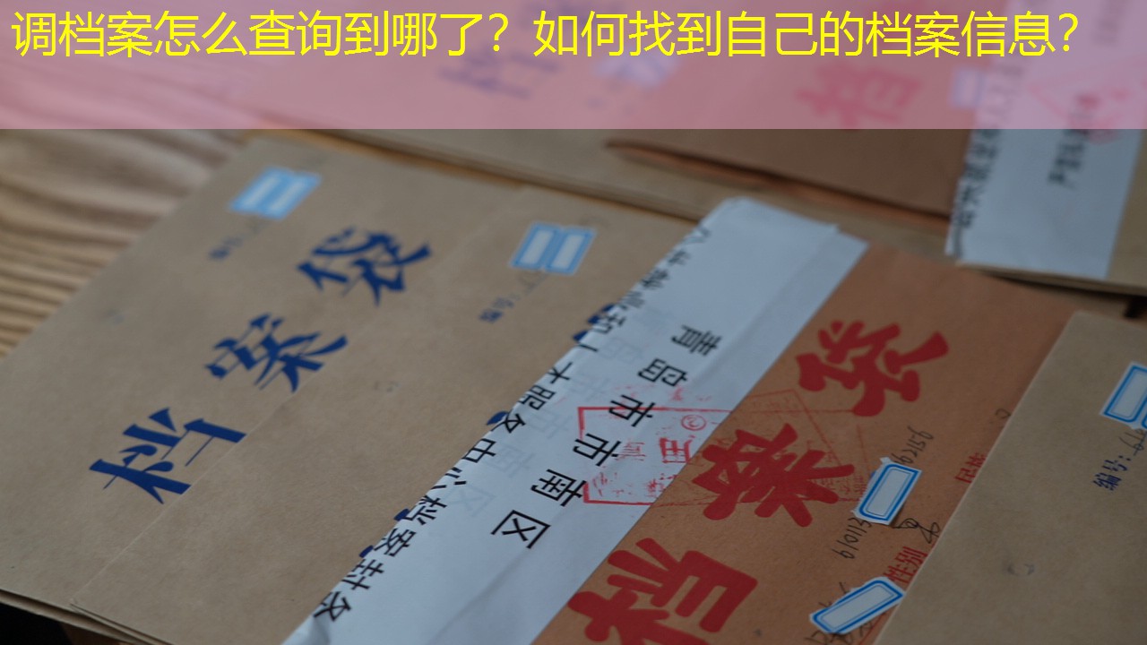 档案查询