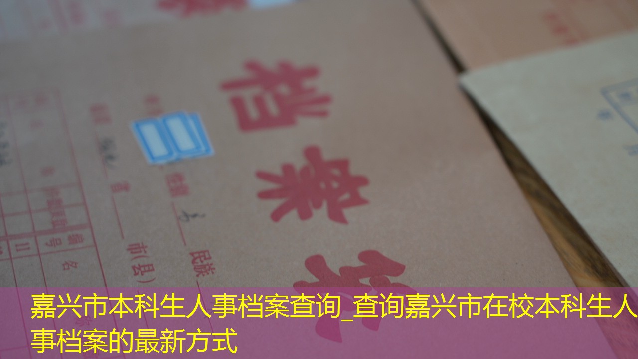 档案查询