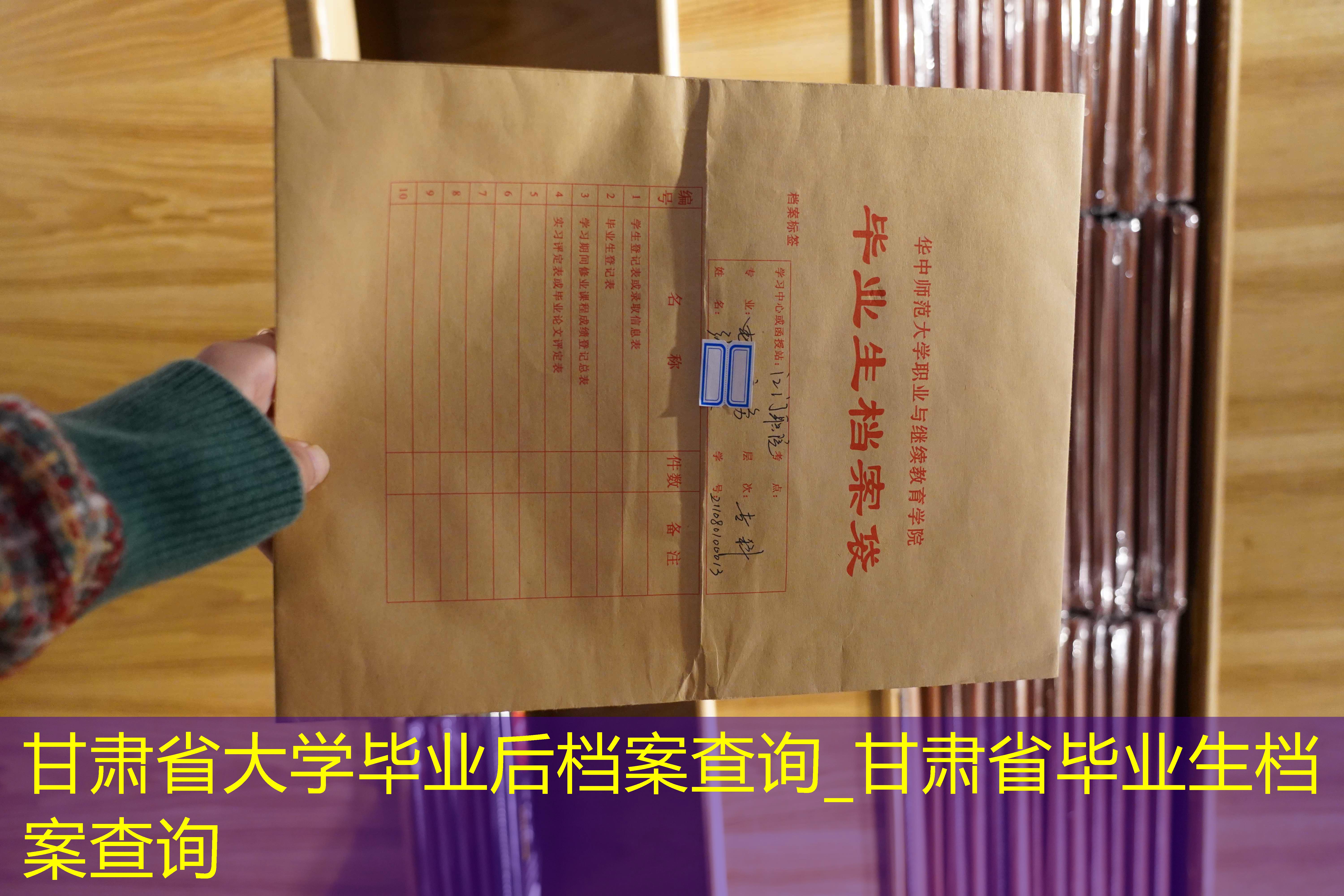 档案查询