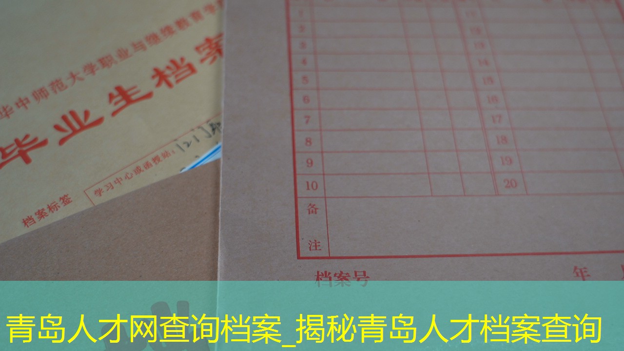 档案查询