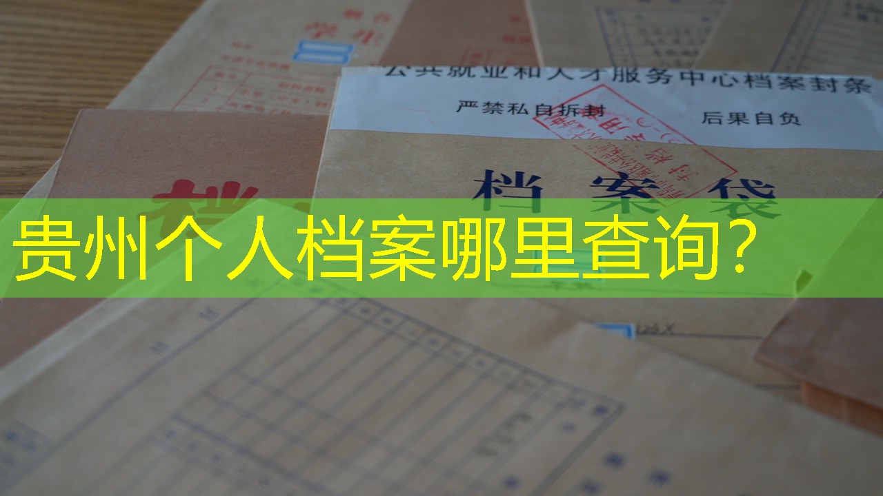 档案查询