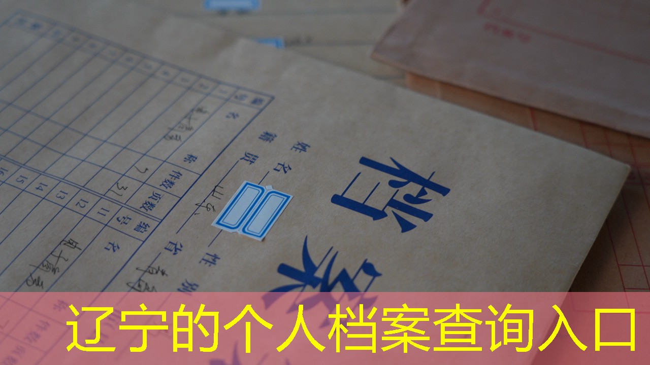 档案查询