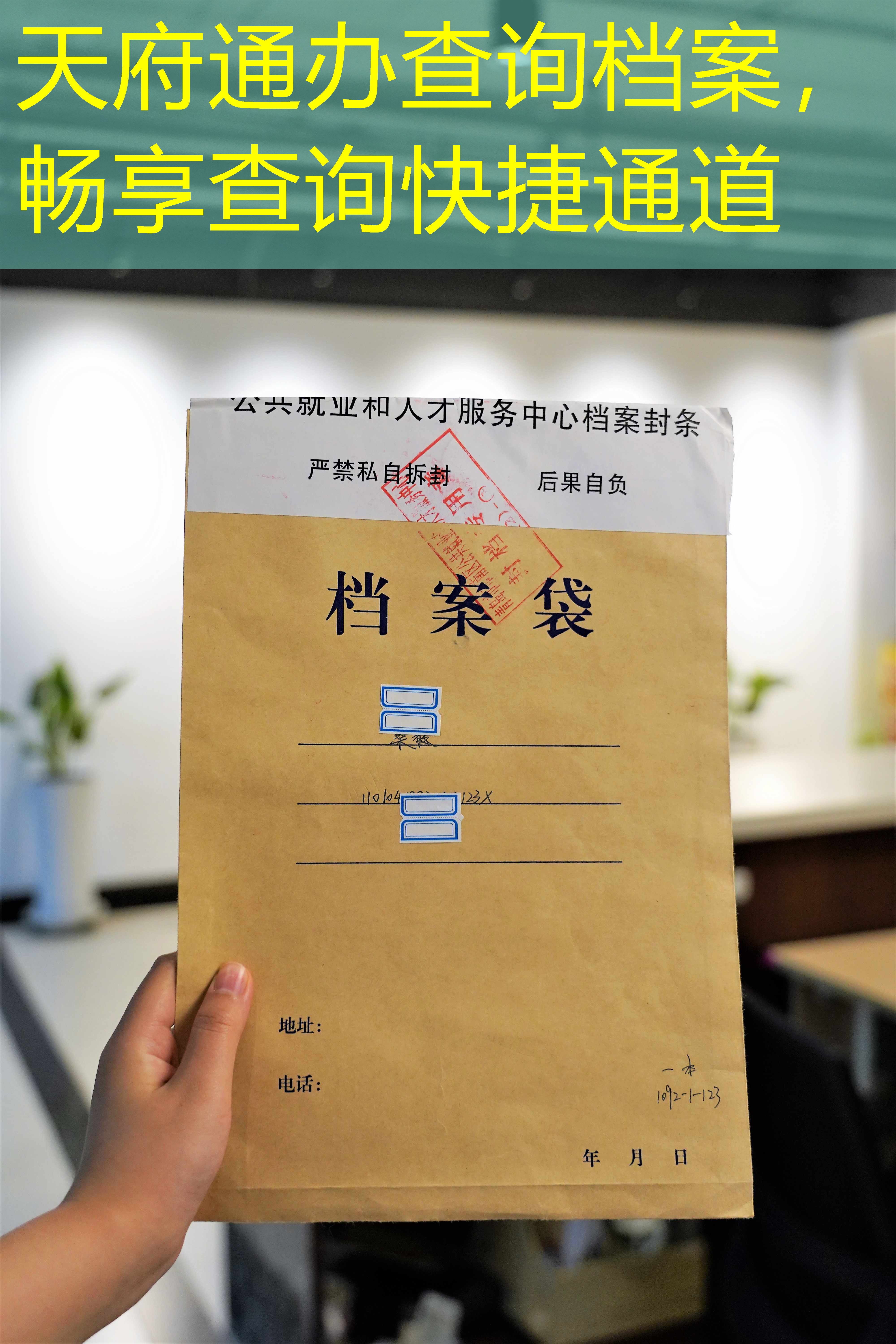 档案查询