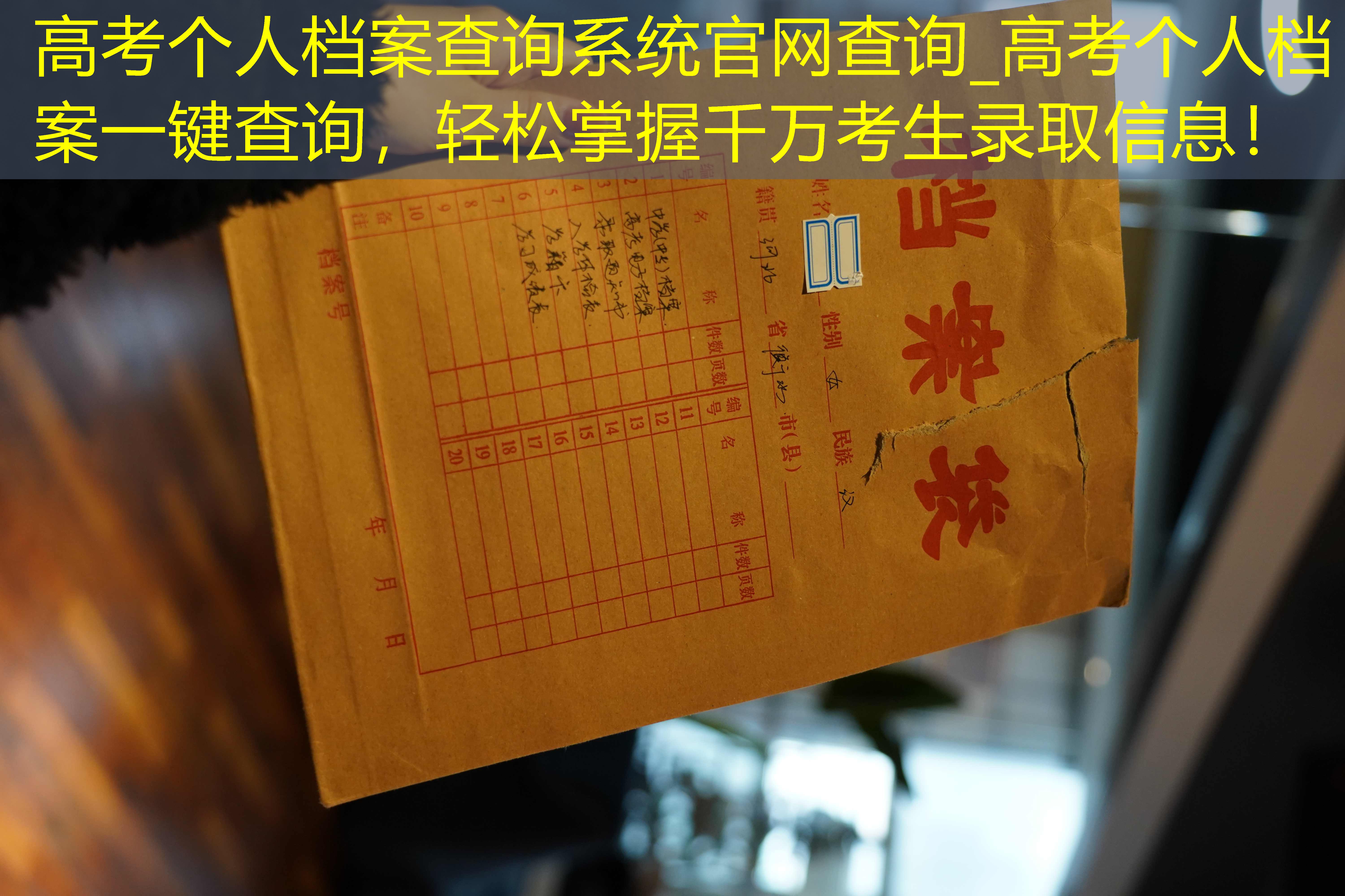 档案查询