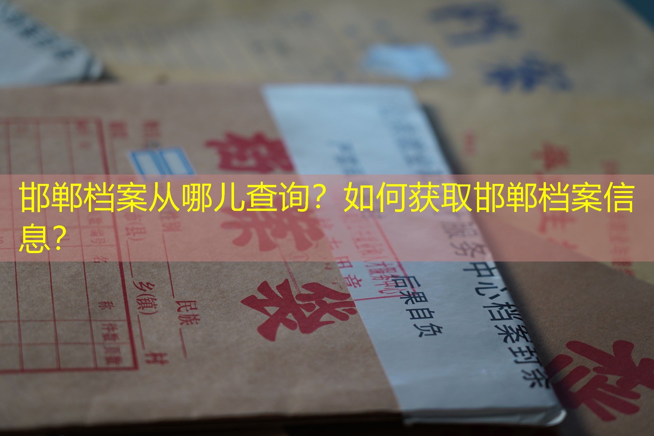 档案查询