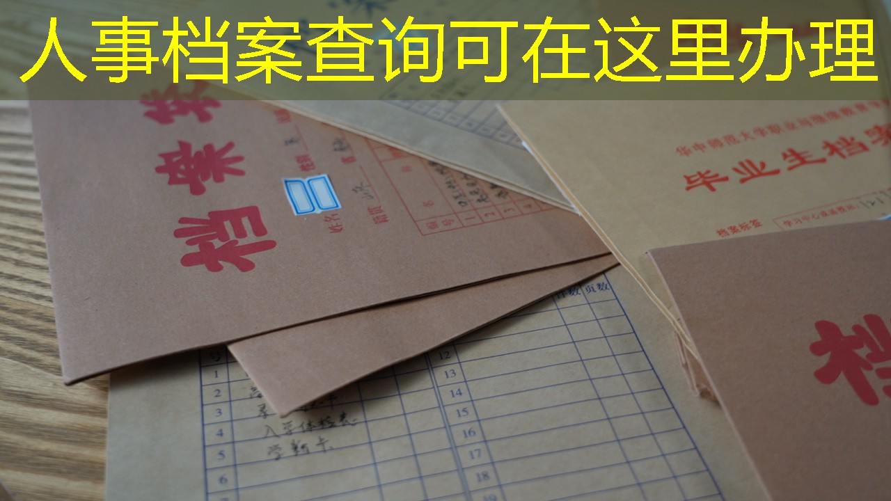 档案查询