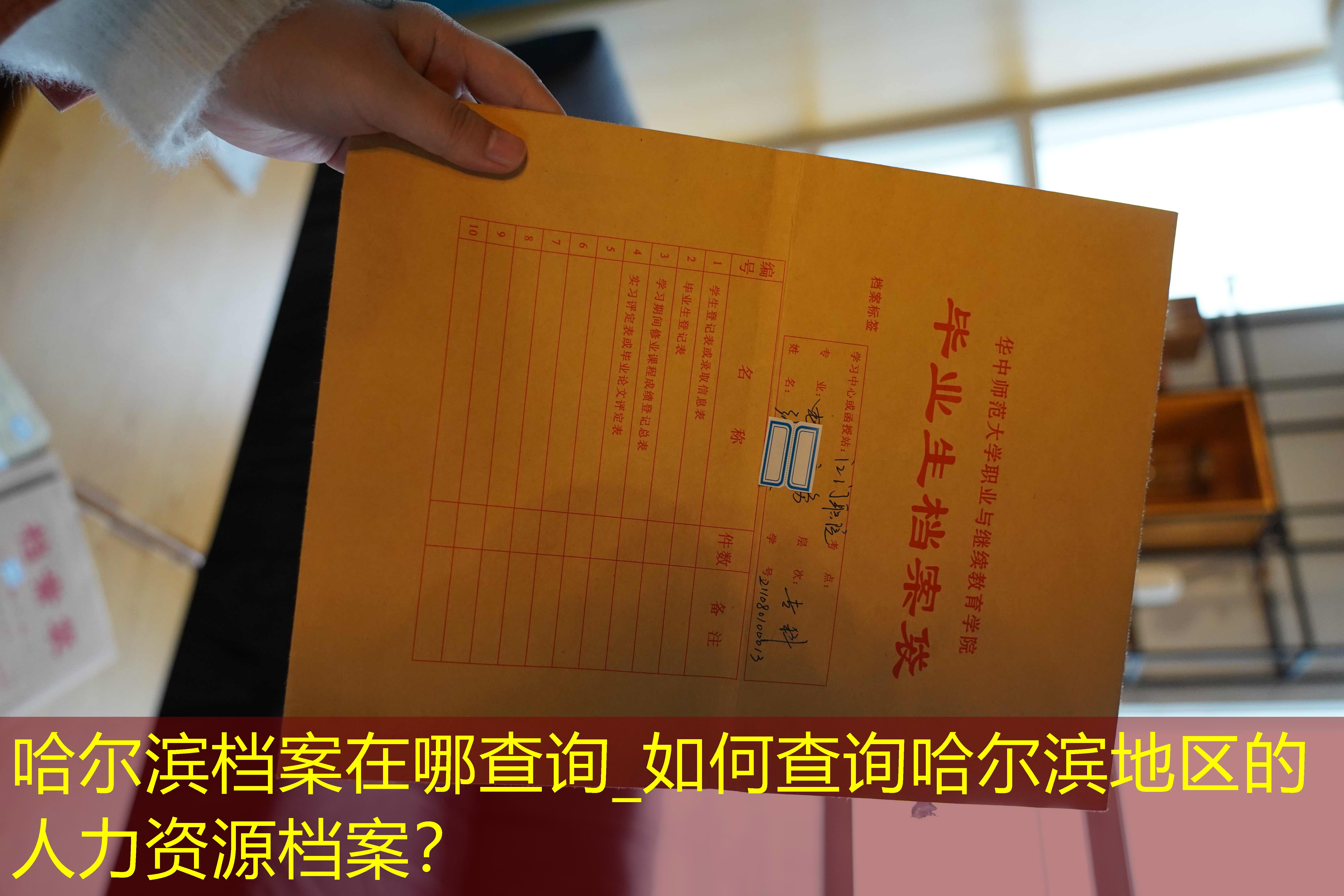 档案查询