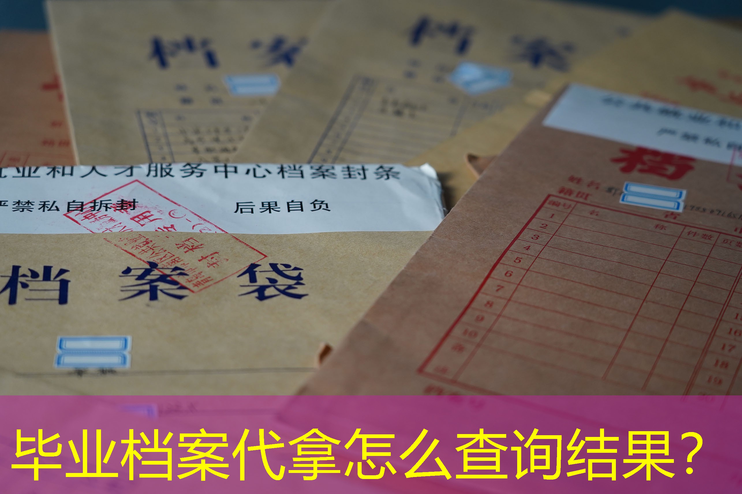 档案查询