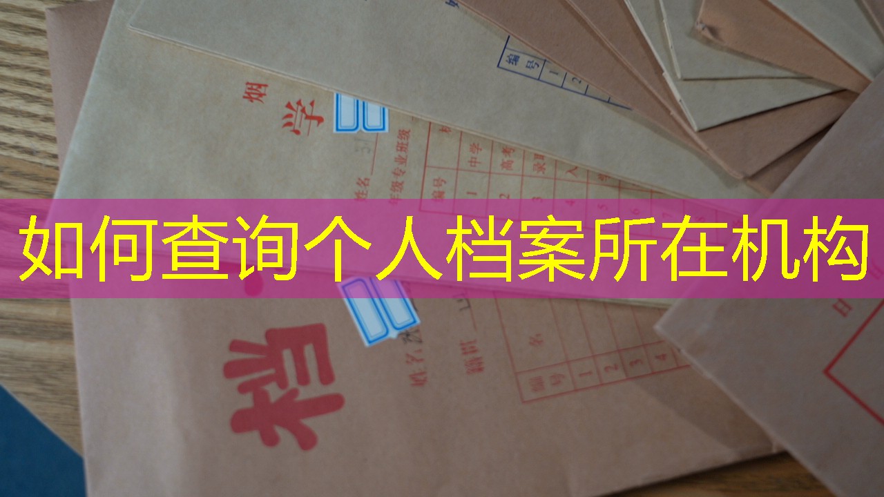 档案查询