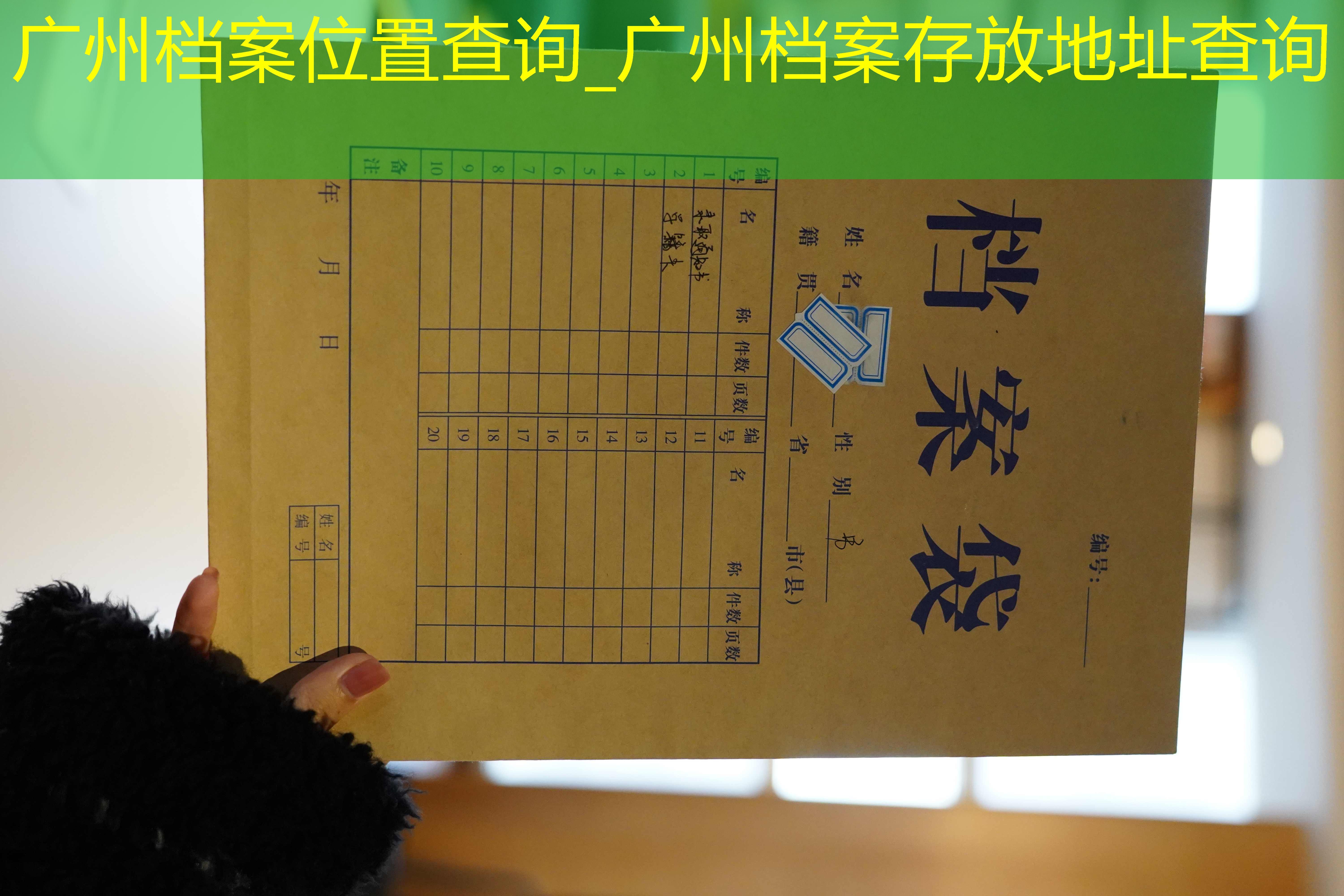 档案查询