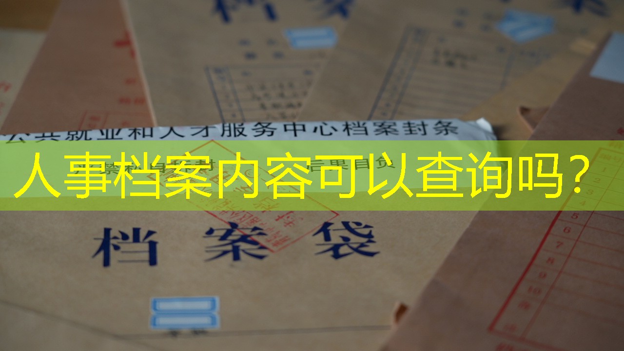 档案查询