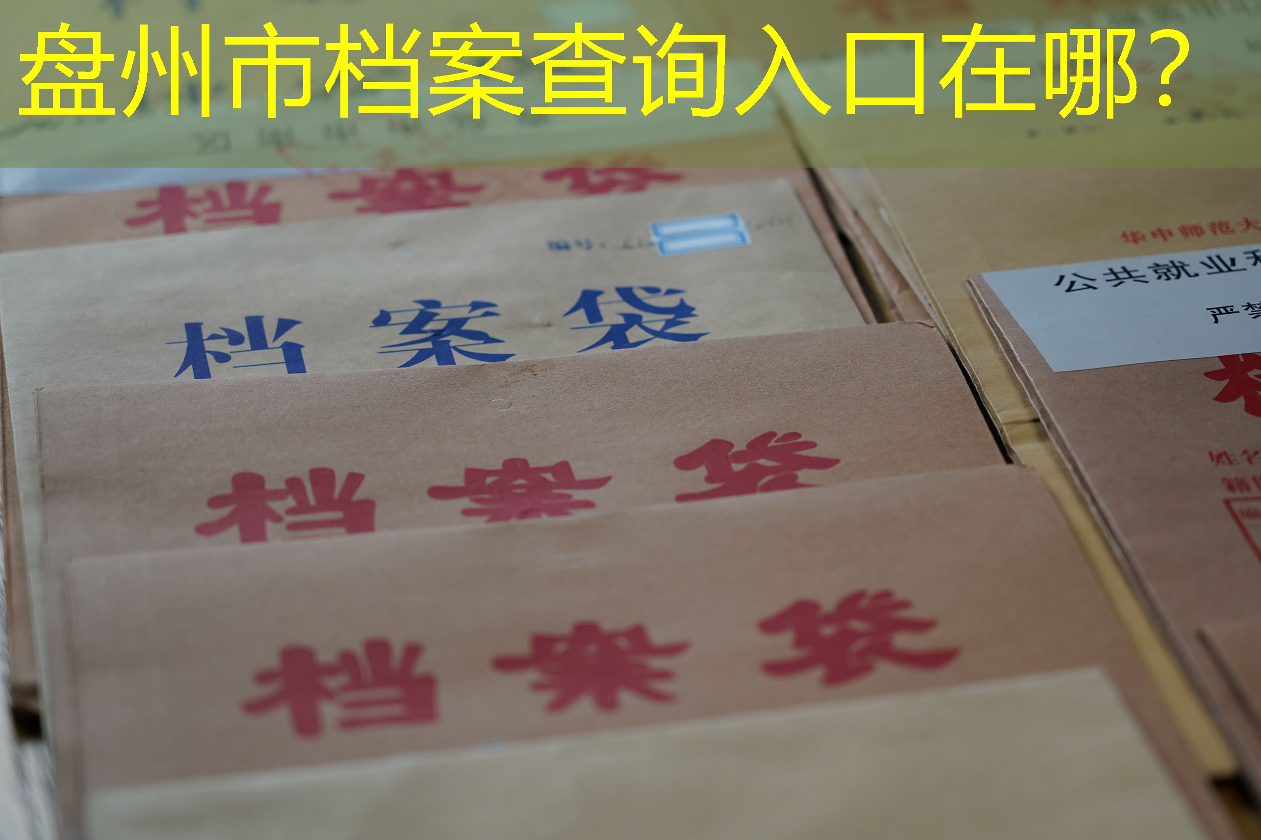 档案查询
