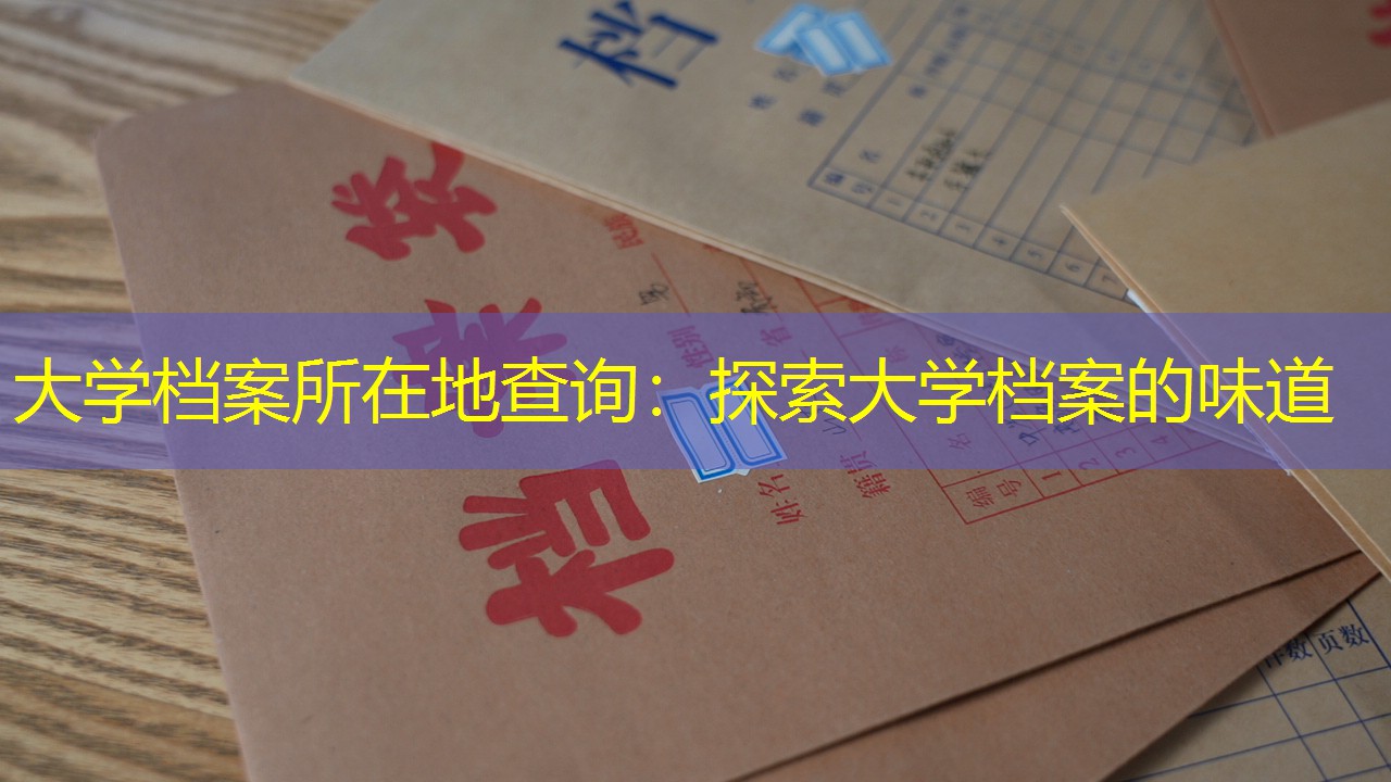 档案查询