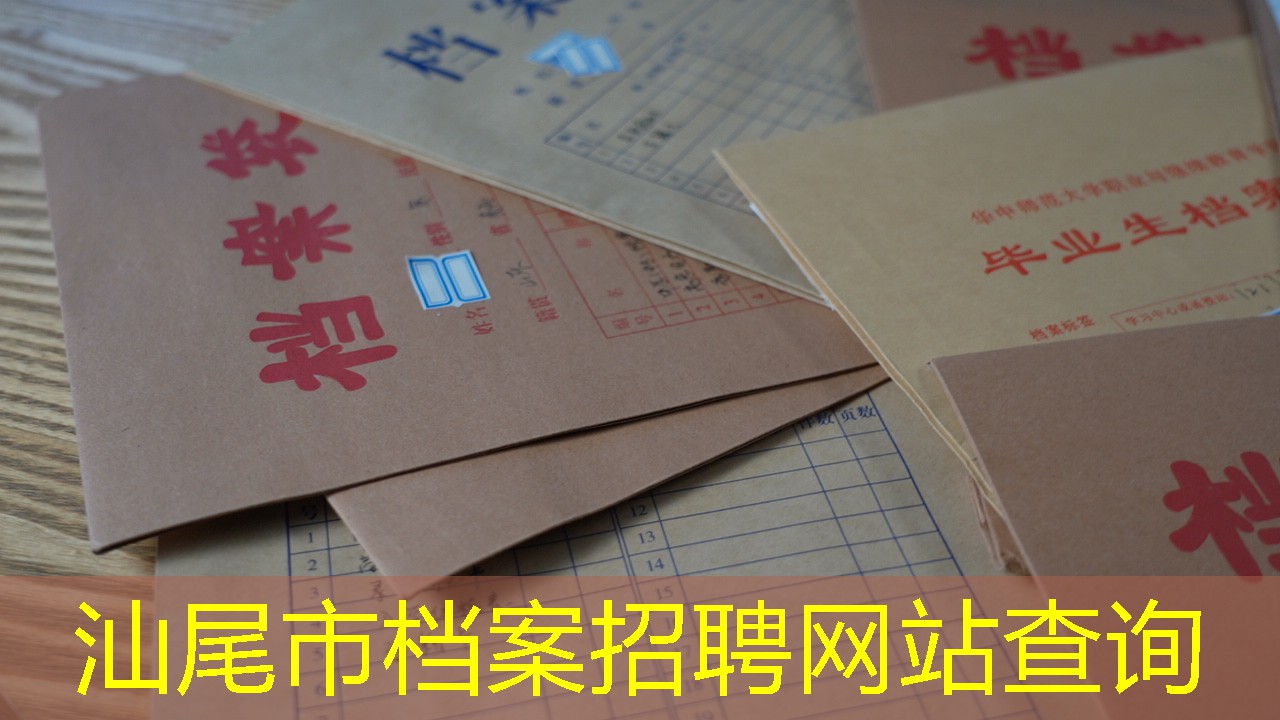 档案查询