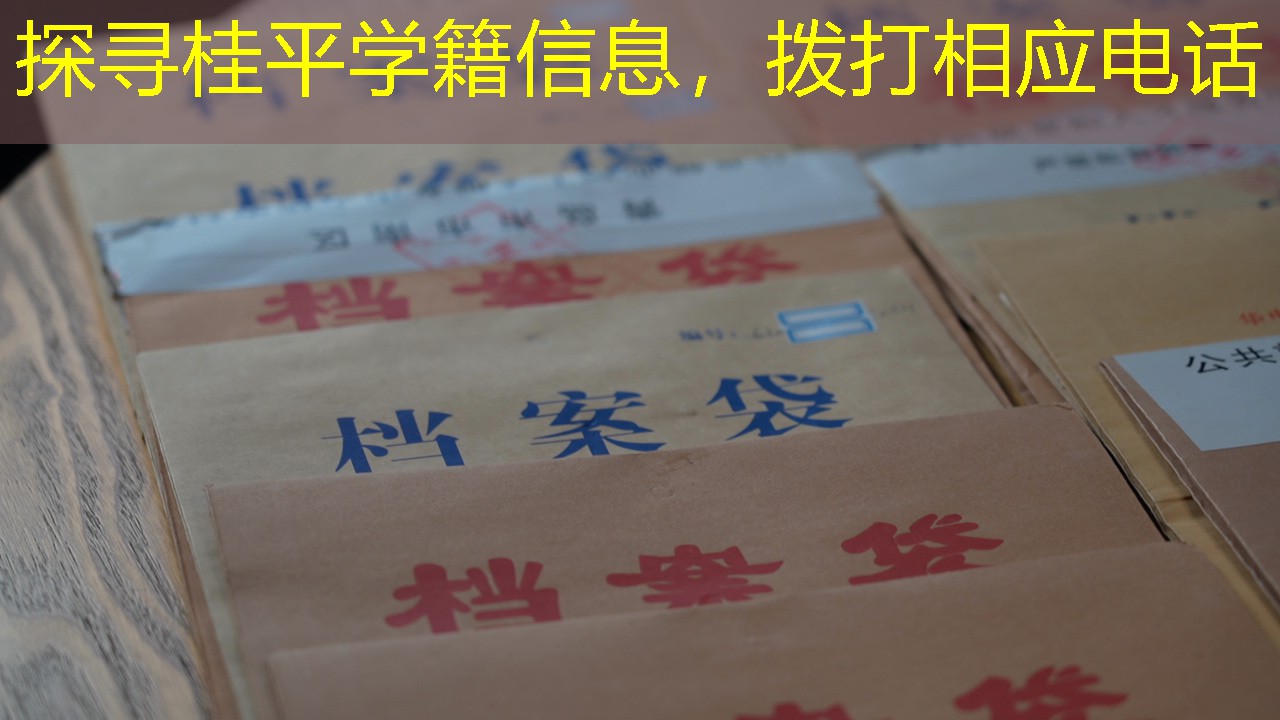 档案查询