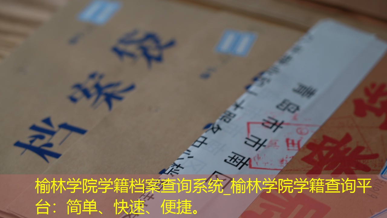 档案查询