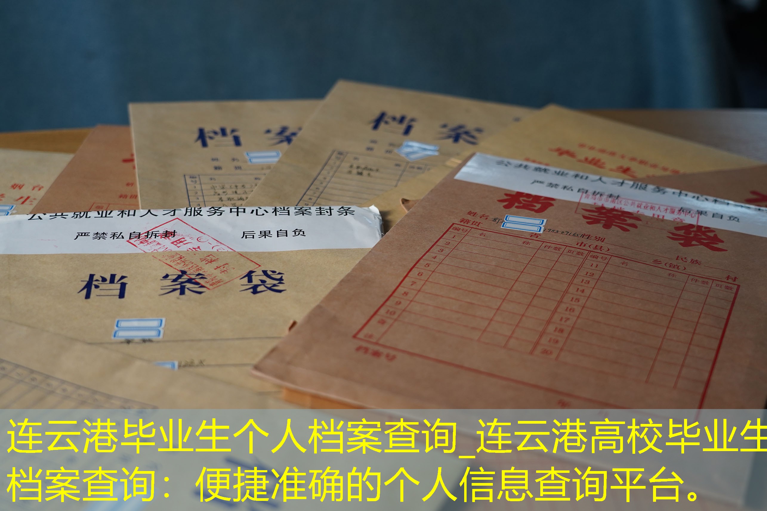 档案查询