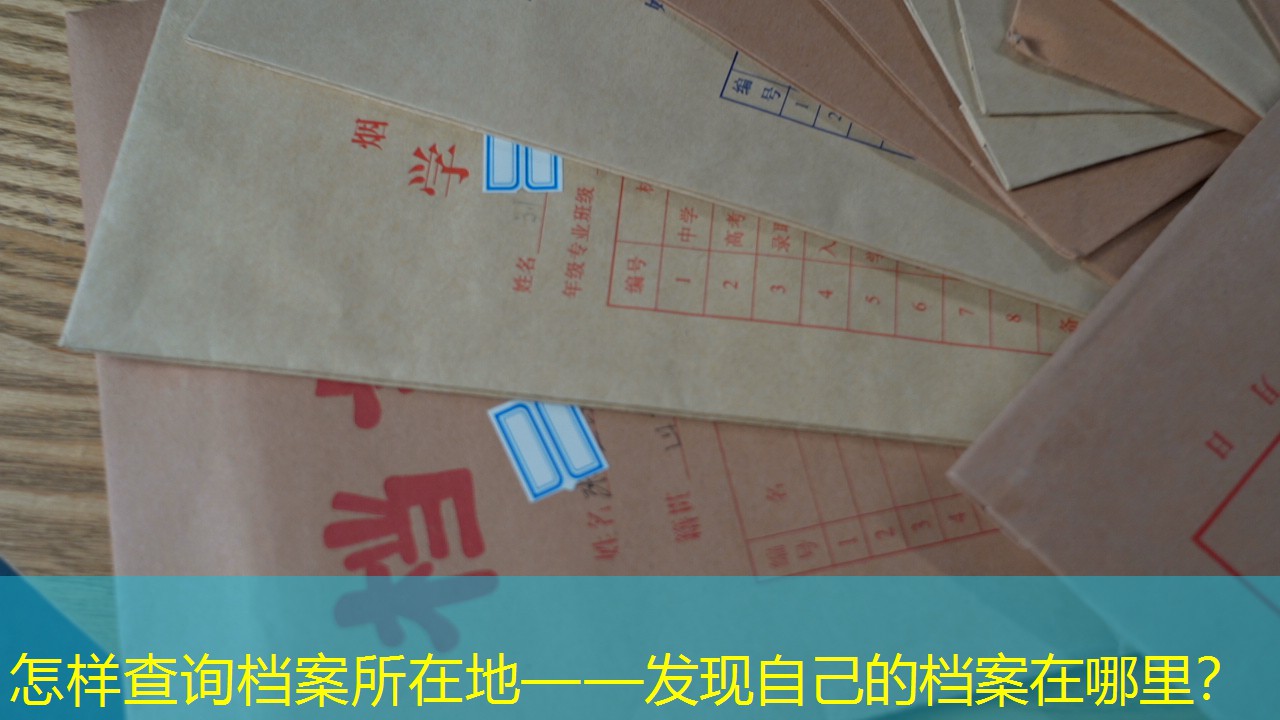 档案查询