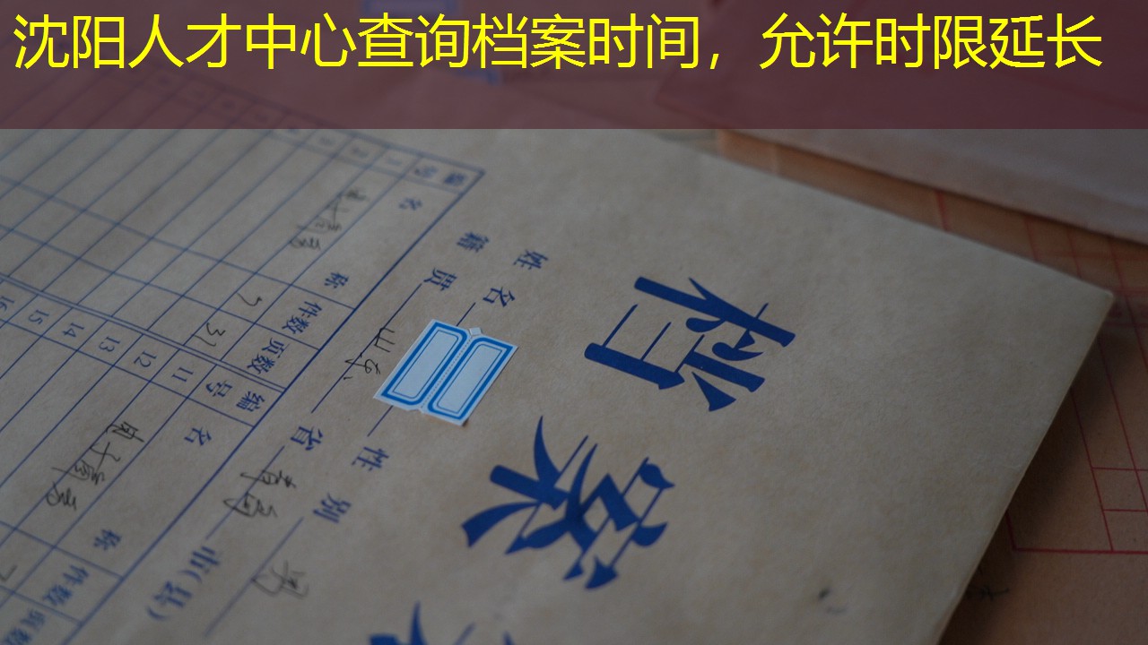 档案查询