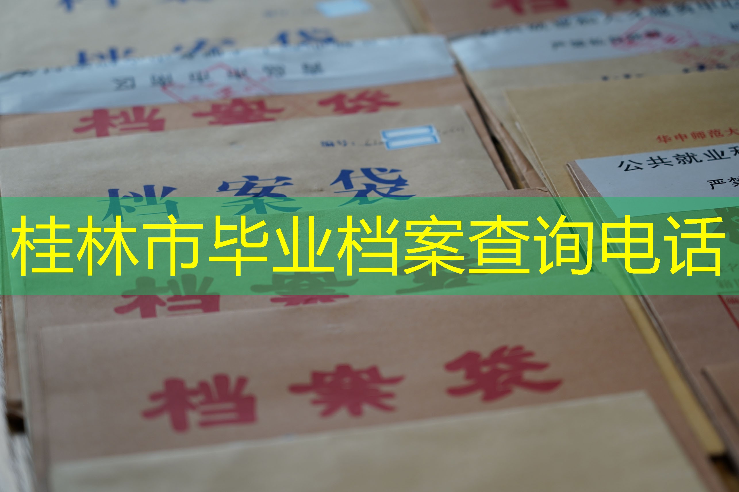 档案查询