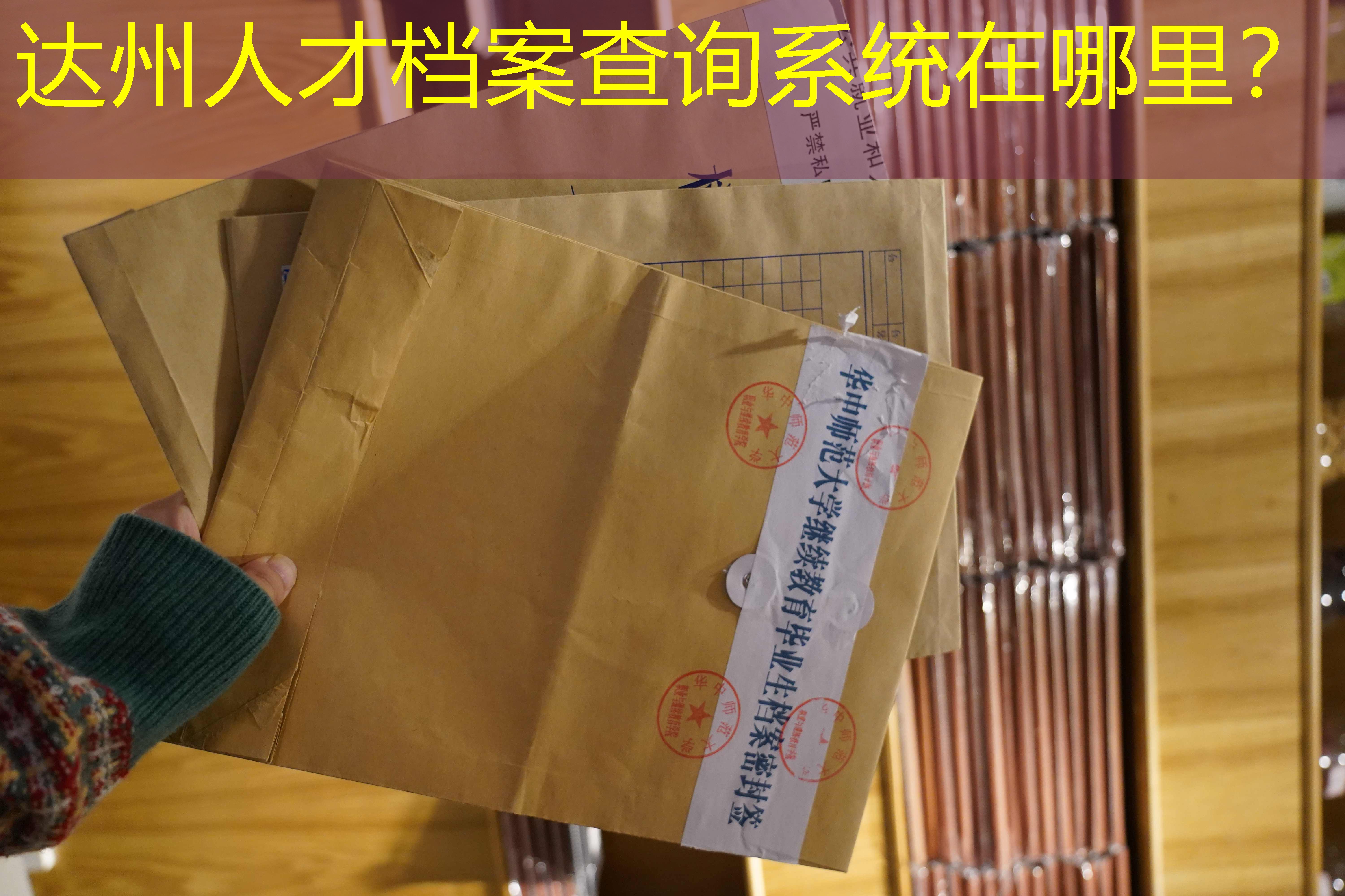 档案查询