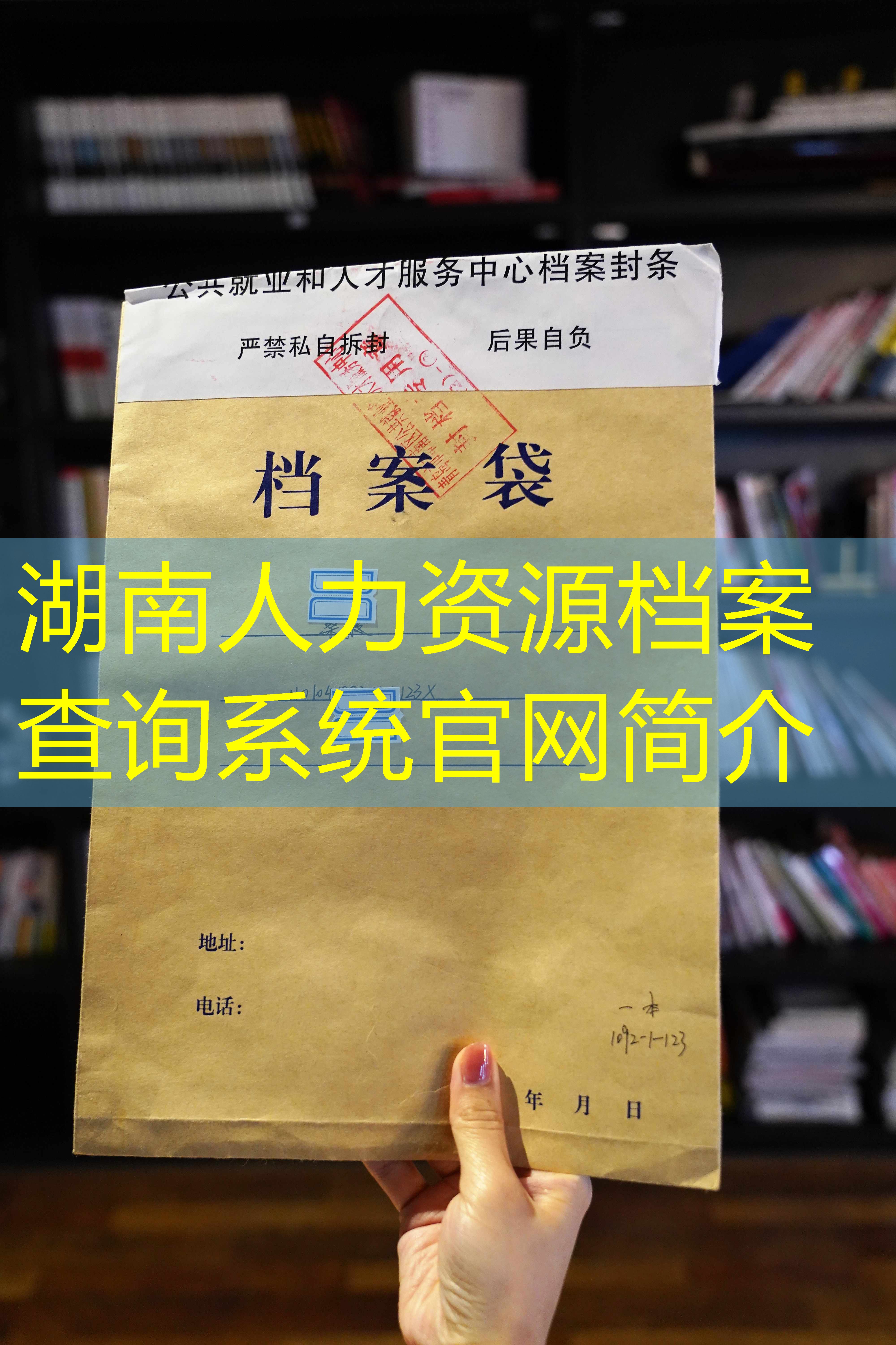 档案查询