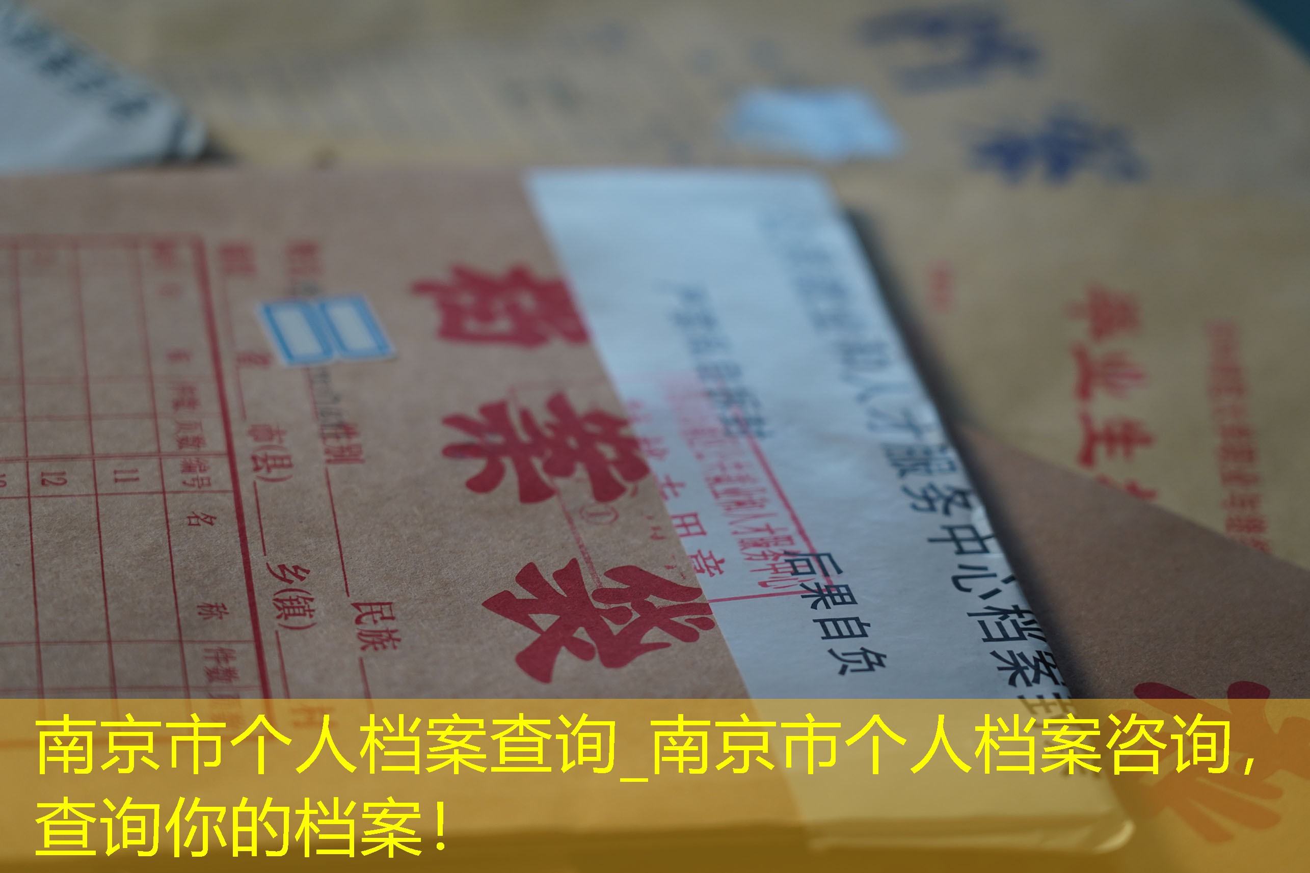 档案查询
