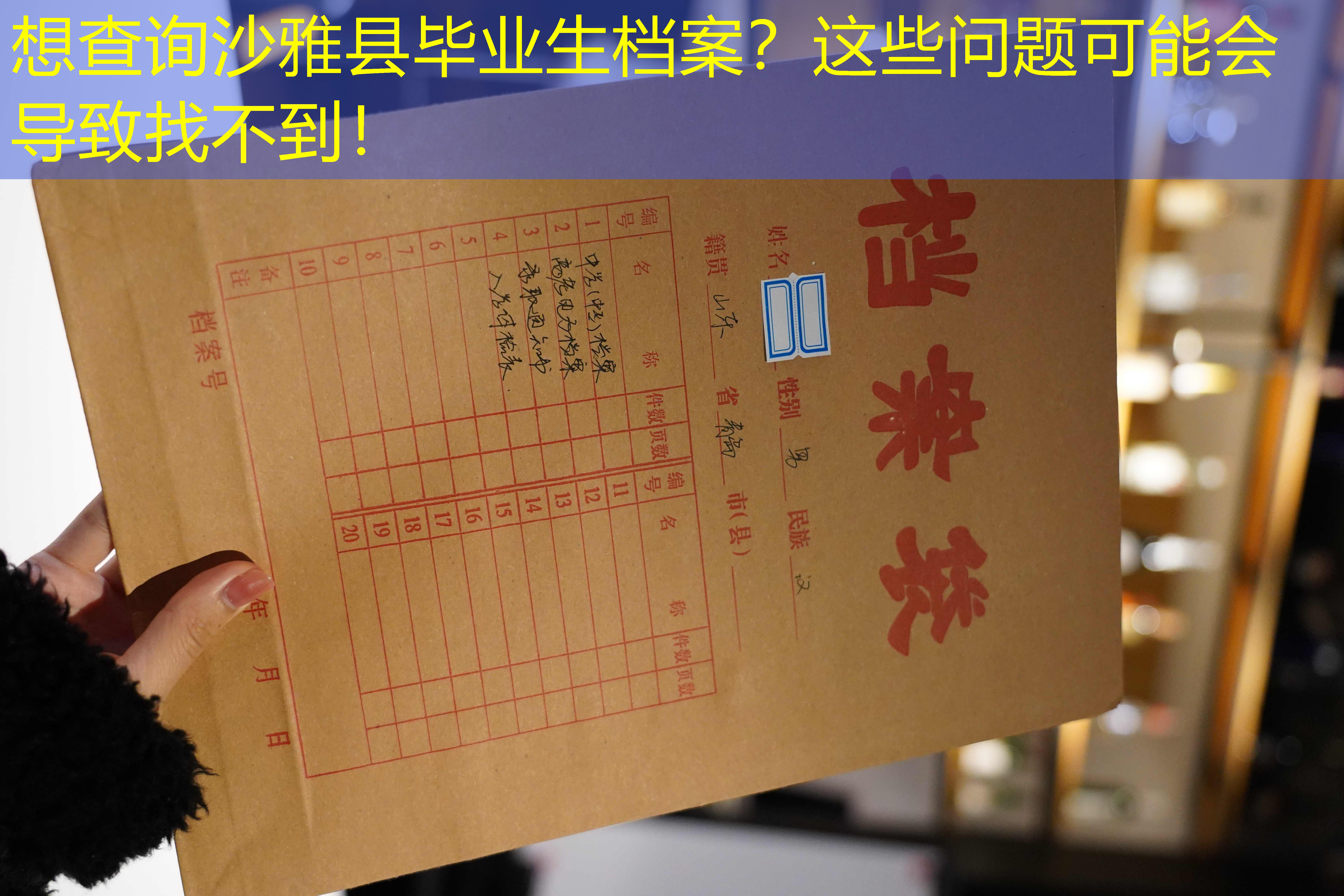 档案查询
