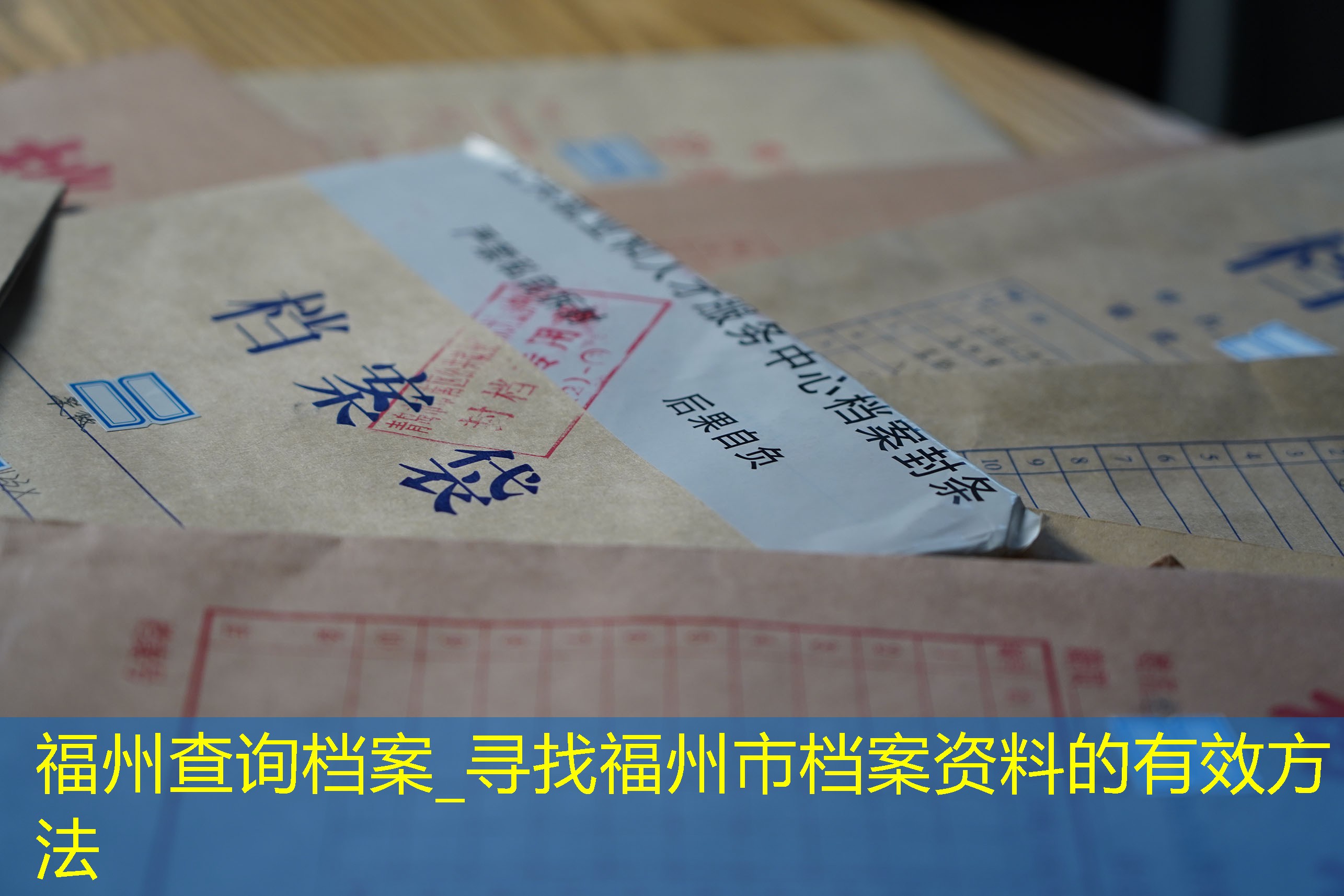 档案查询