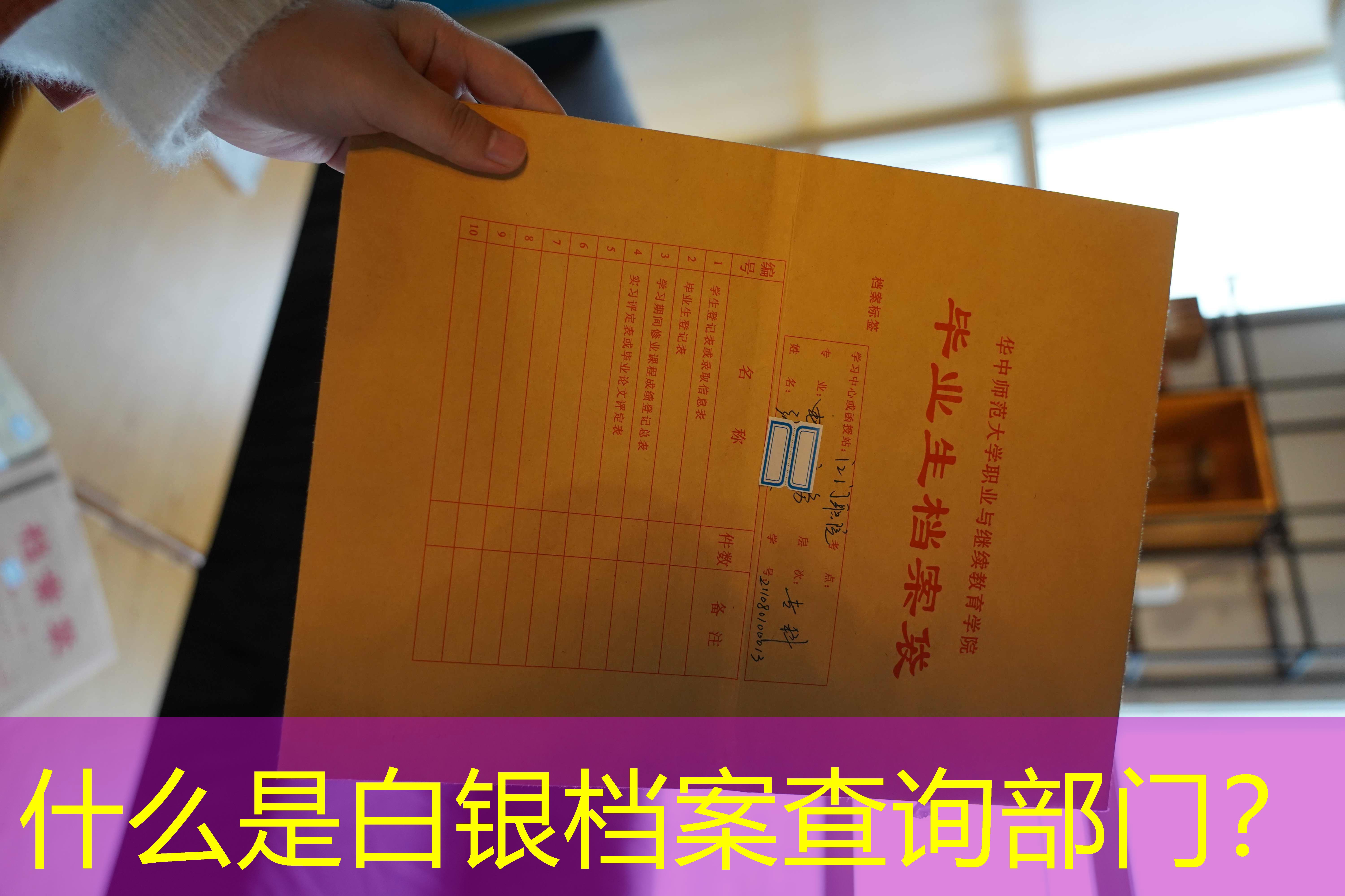 档案查询