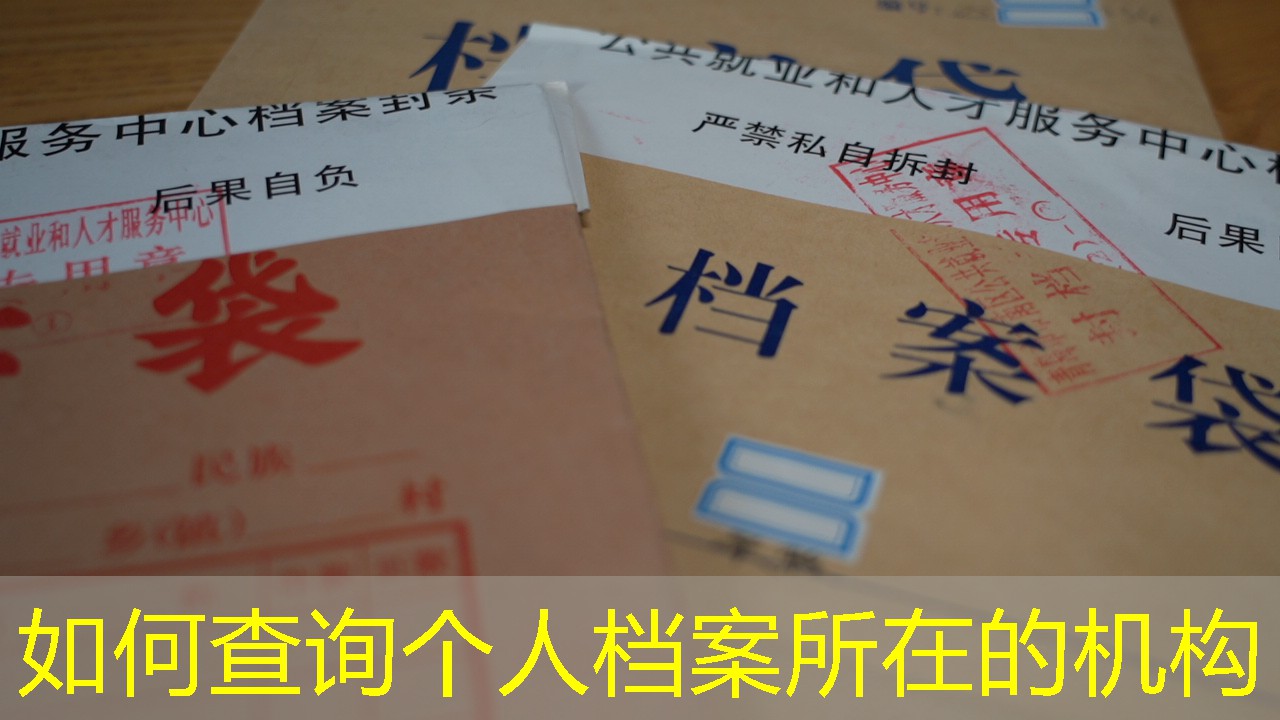 档案查询