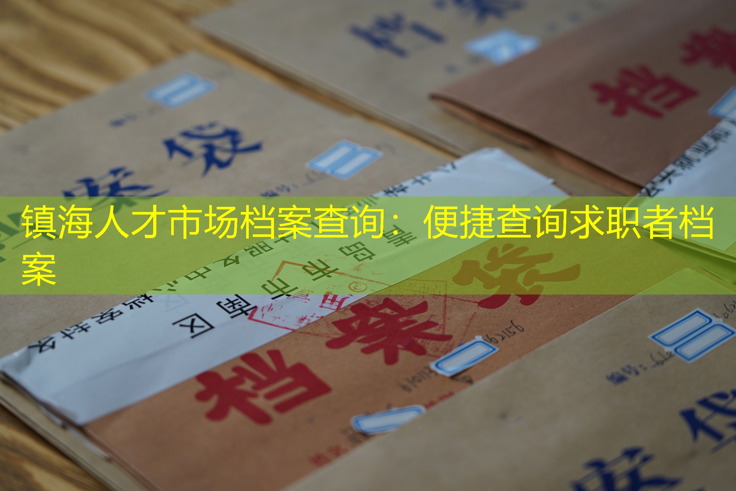 档案查询