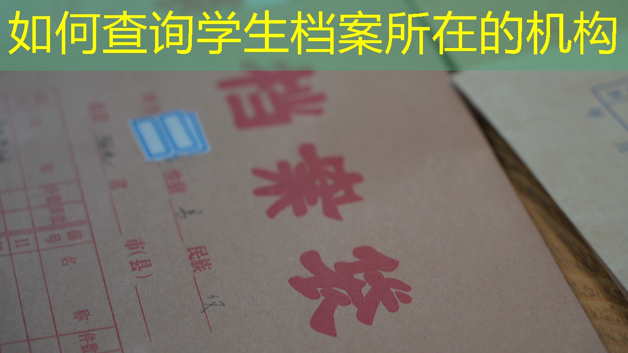 档案查询