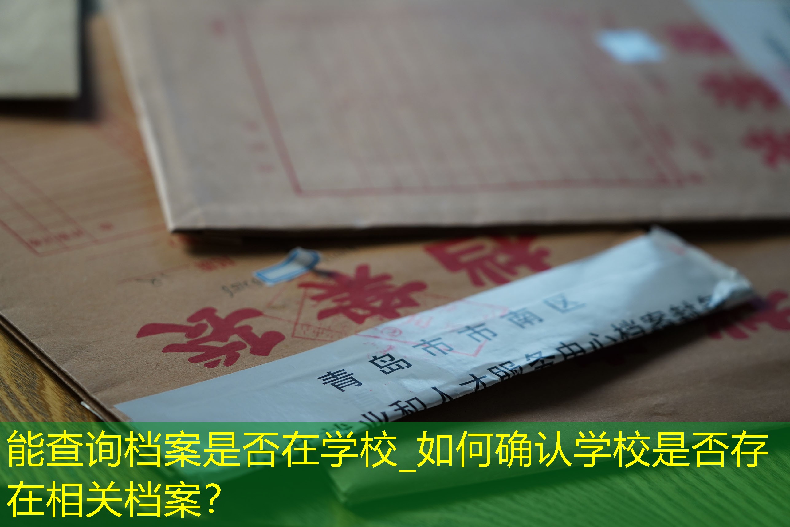 档案查询