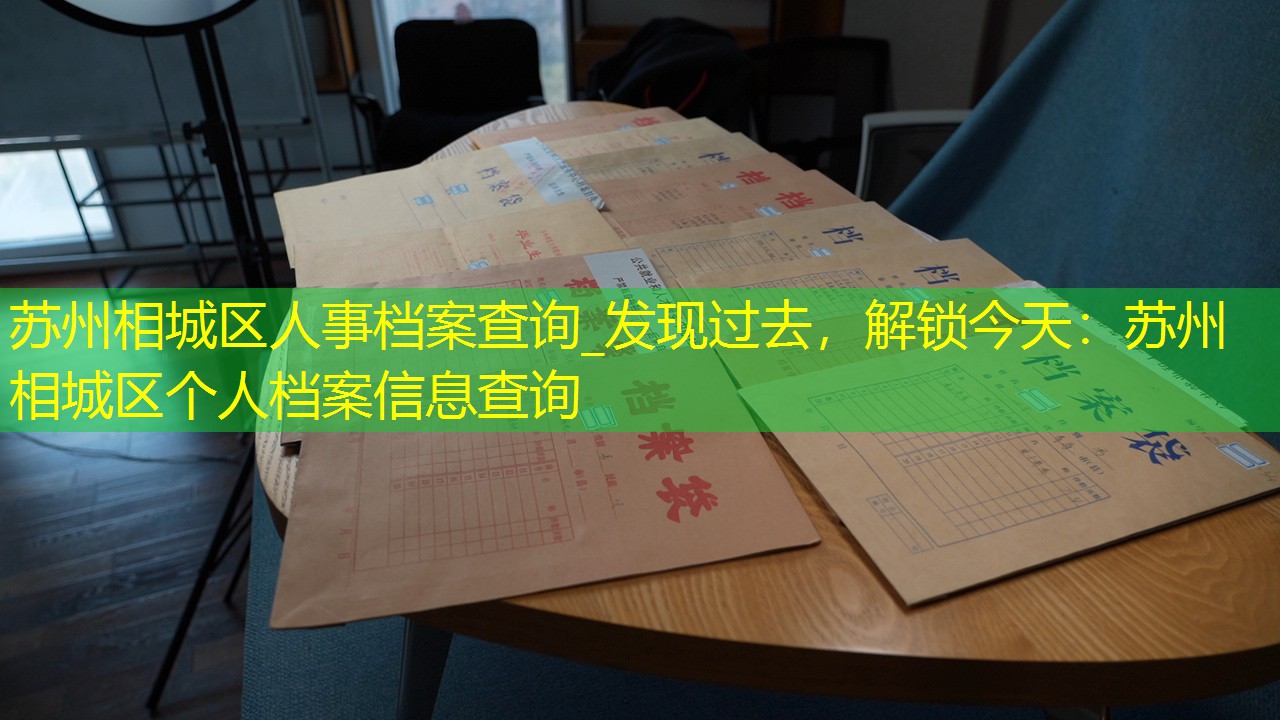 档案查询