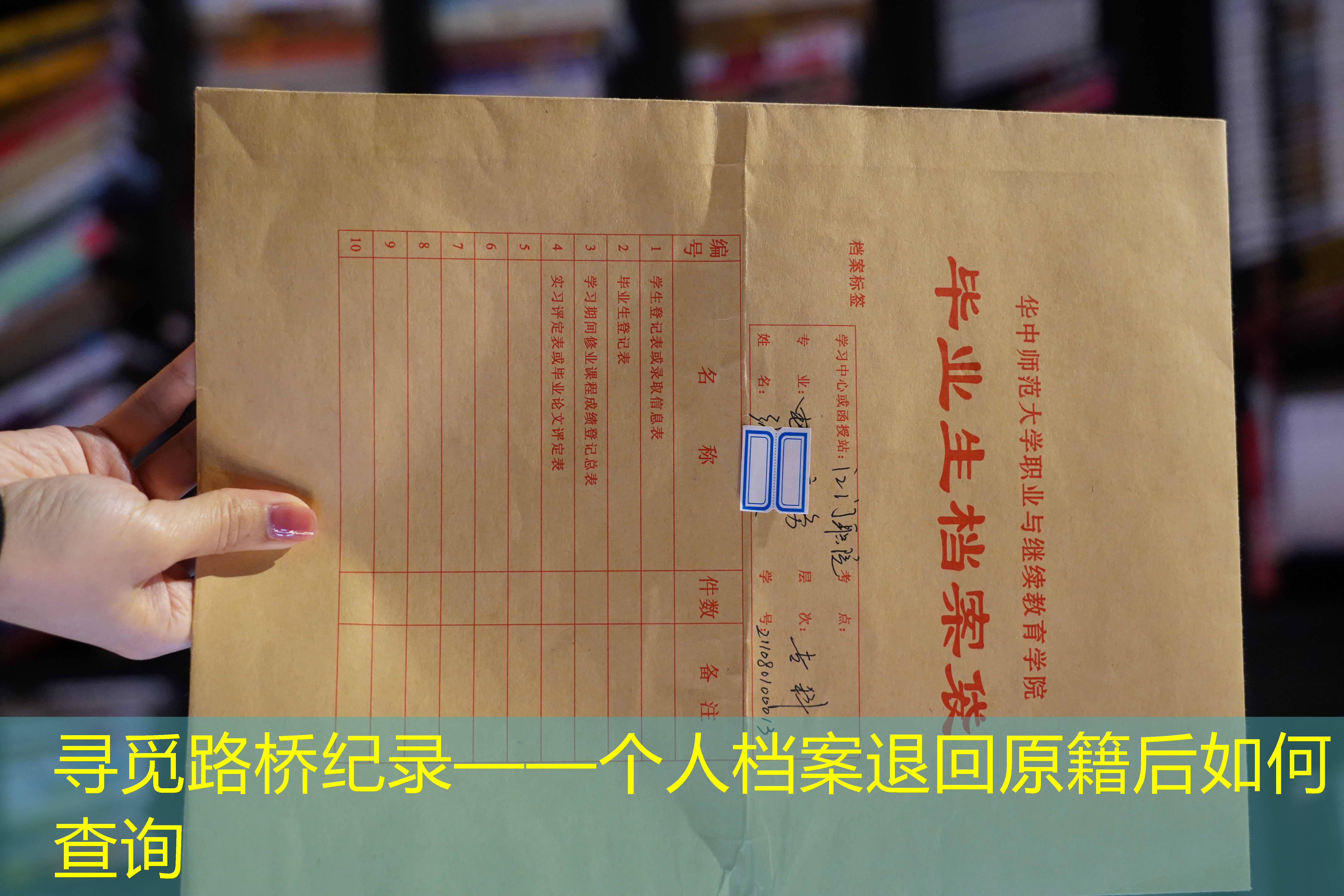 档案查询