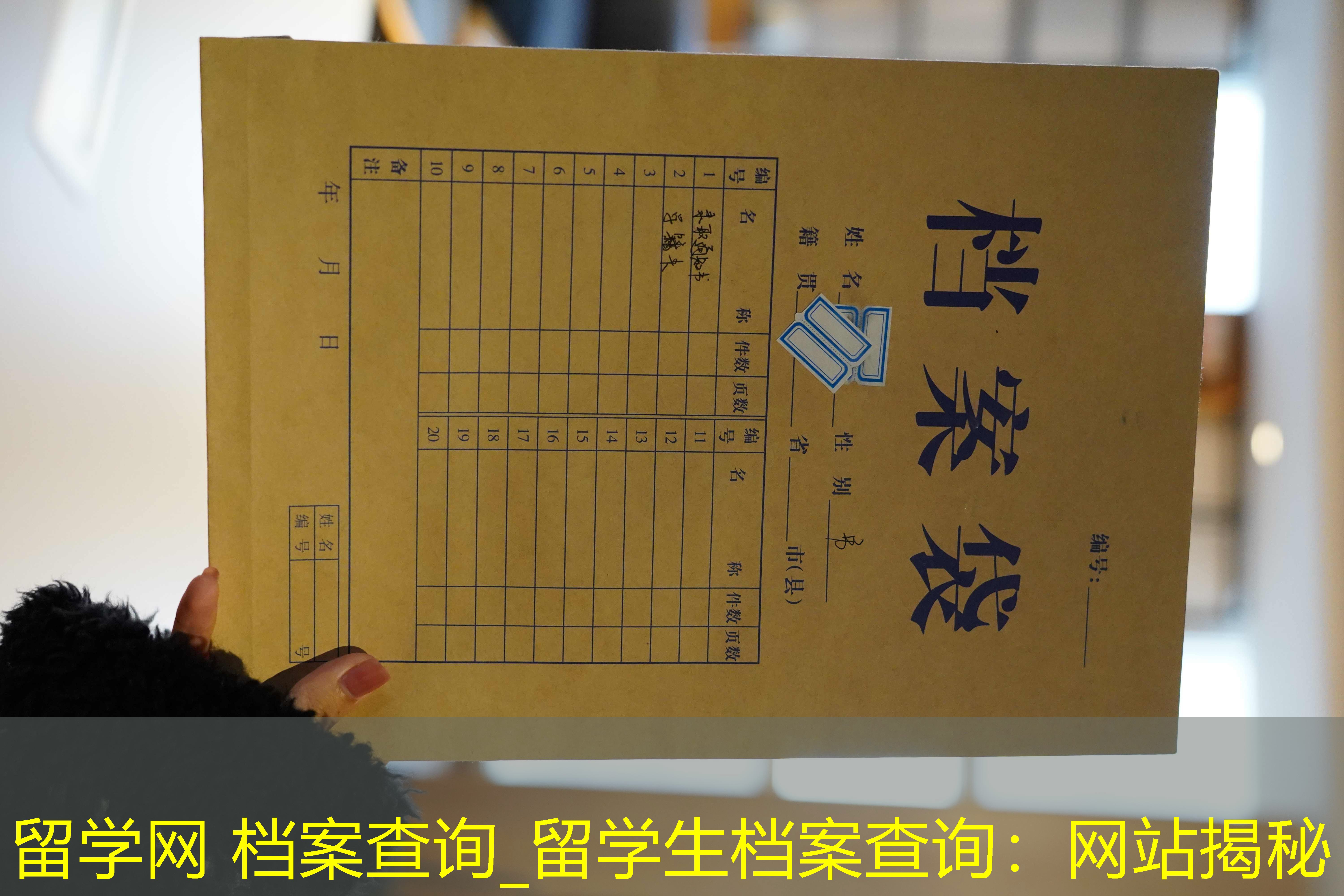 档案查询
