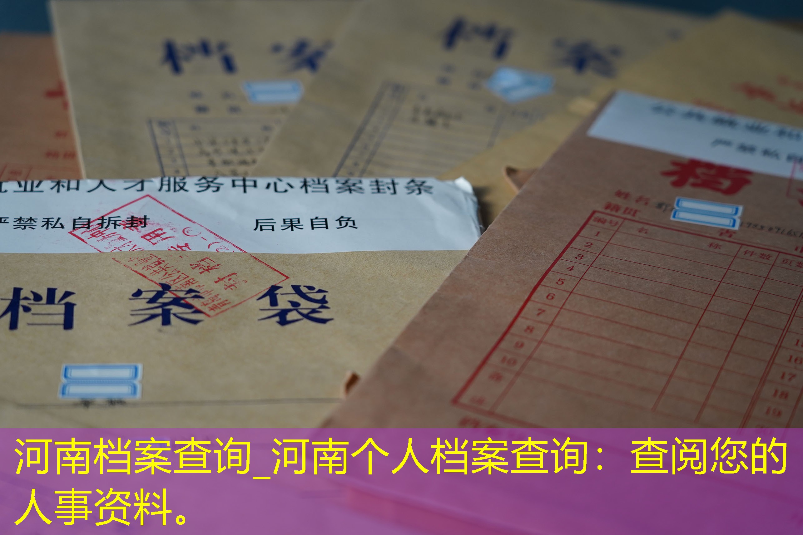 档案查询