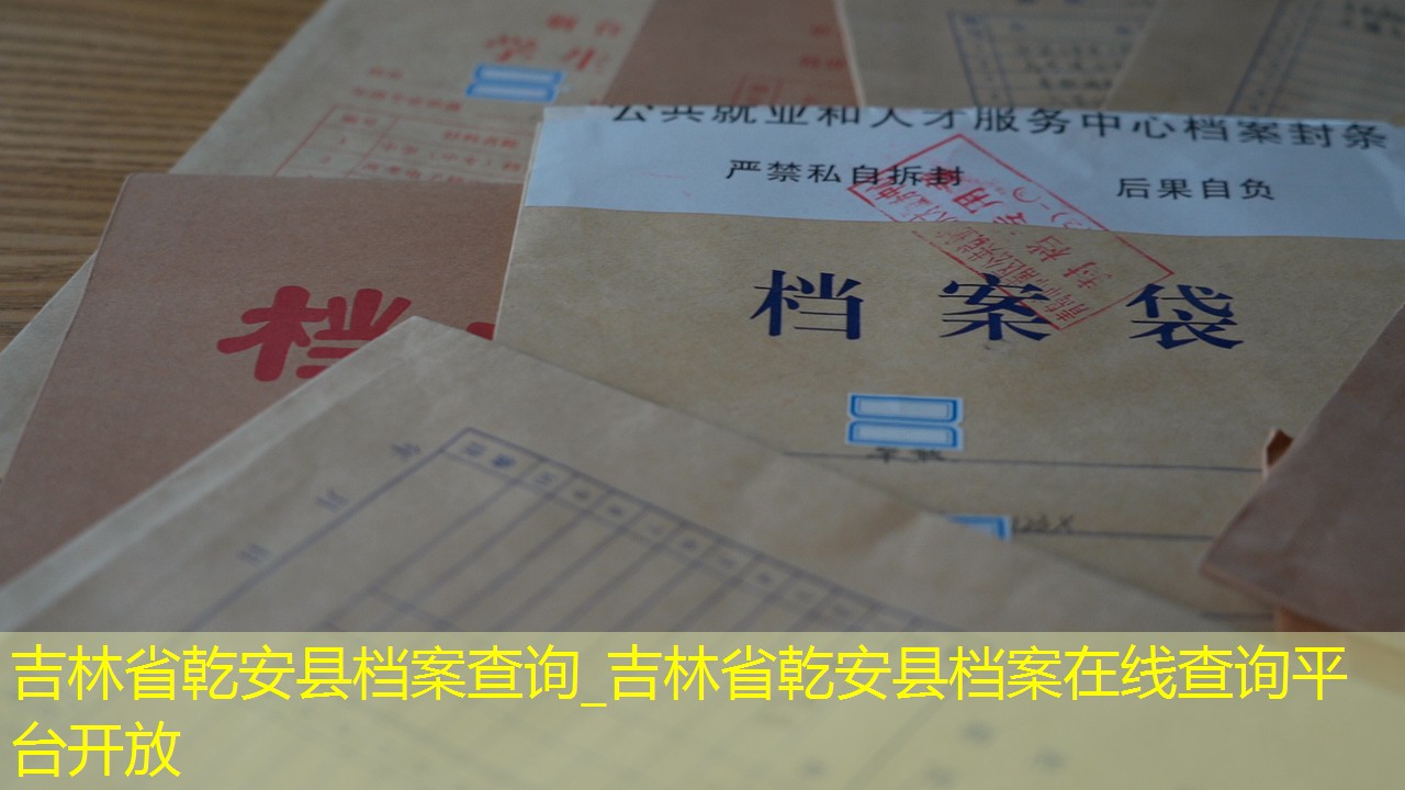 档案查询