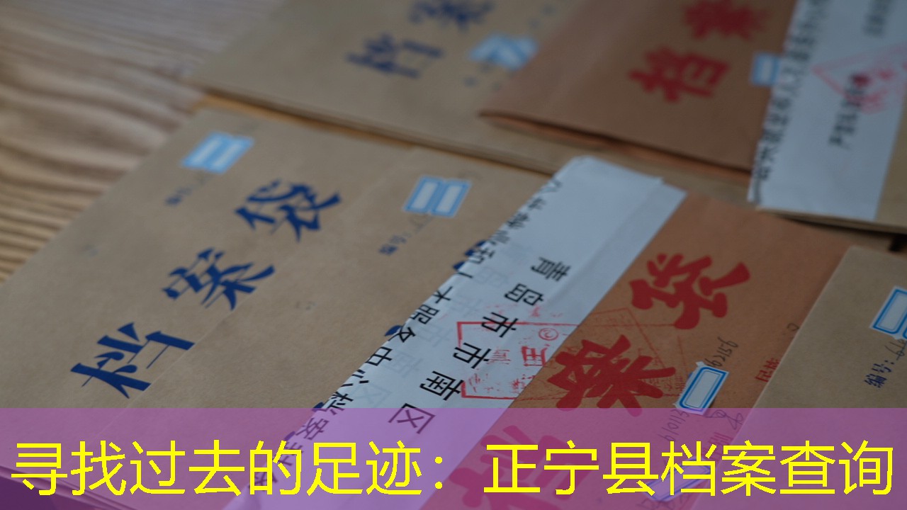 档案查询