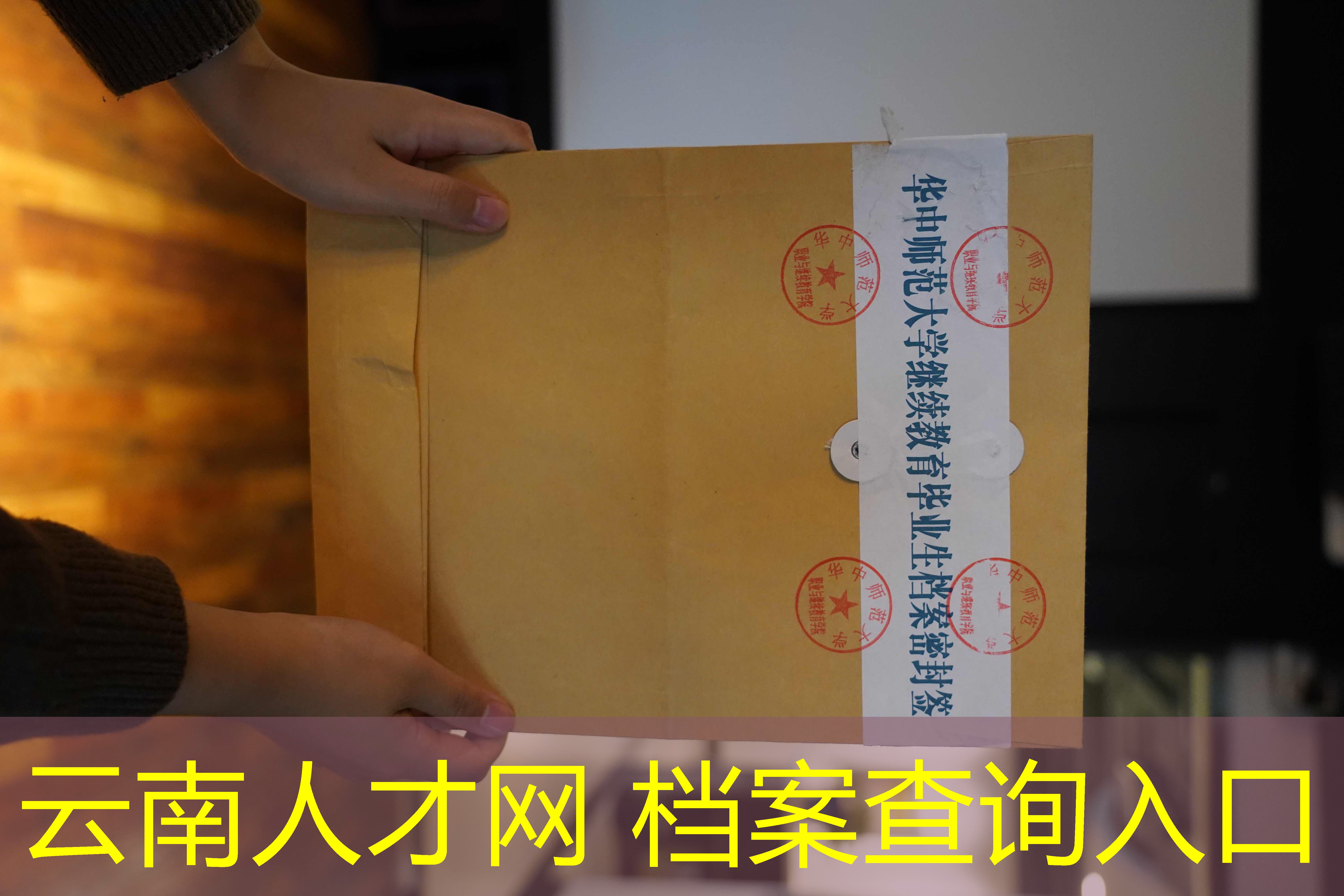 档案查询