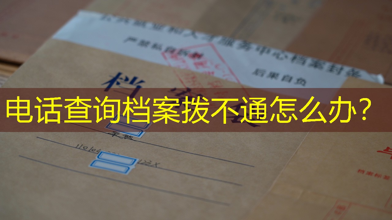 档案查询