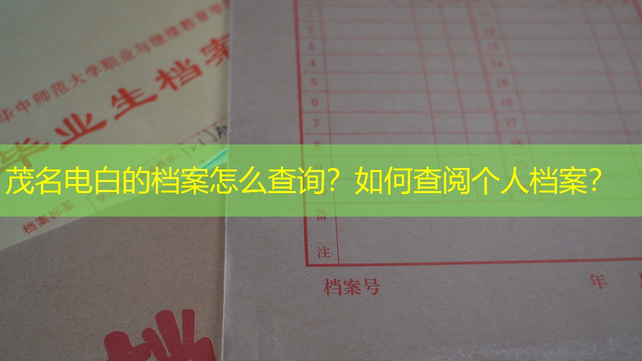 档案查询
