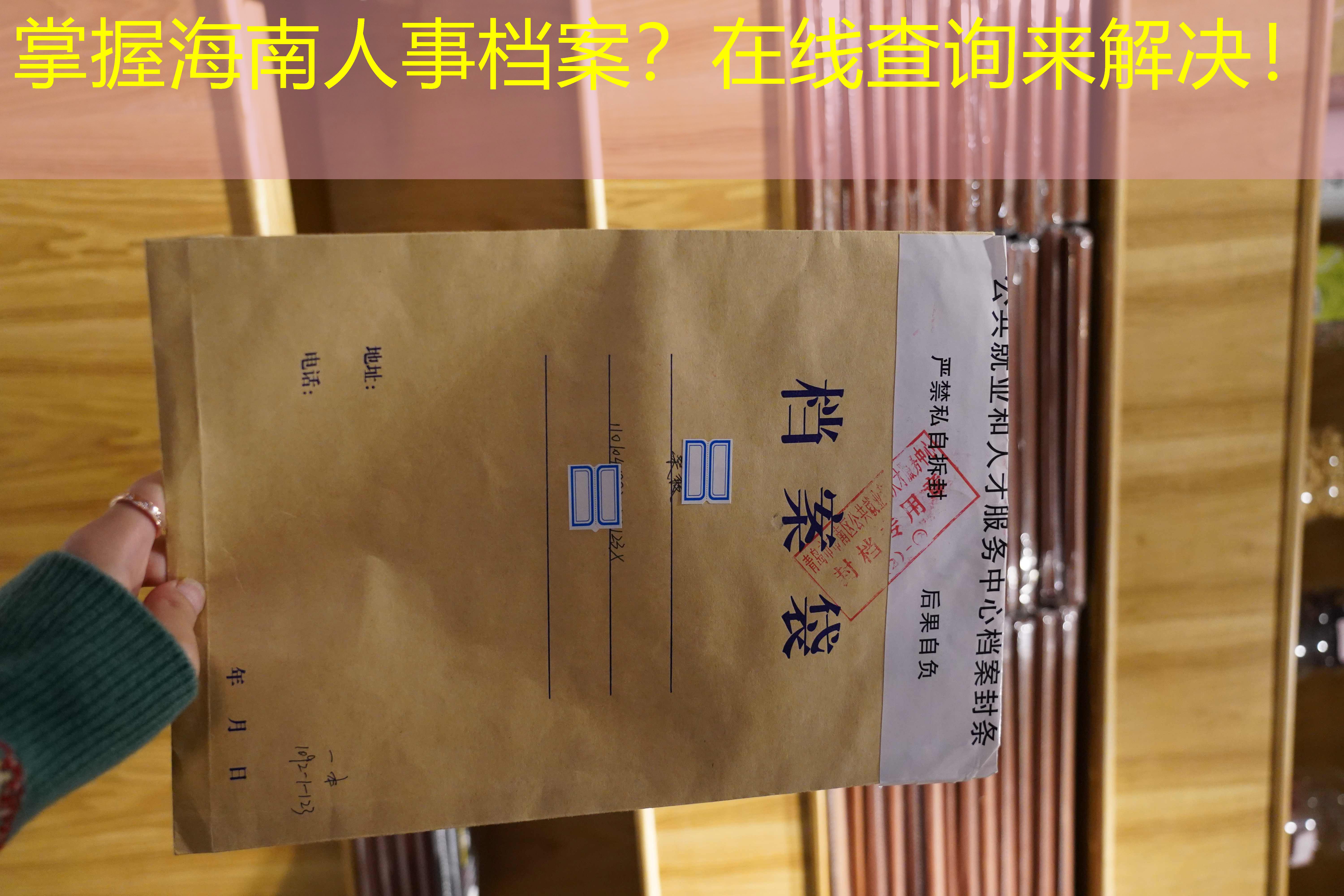 档案查询