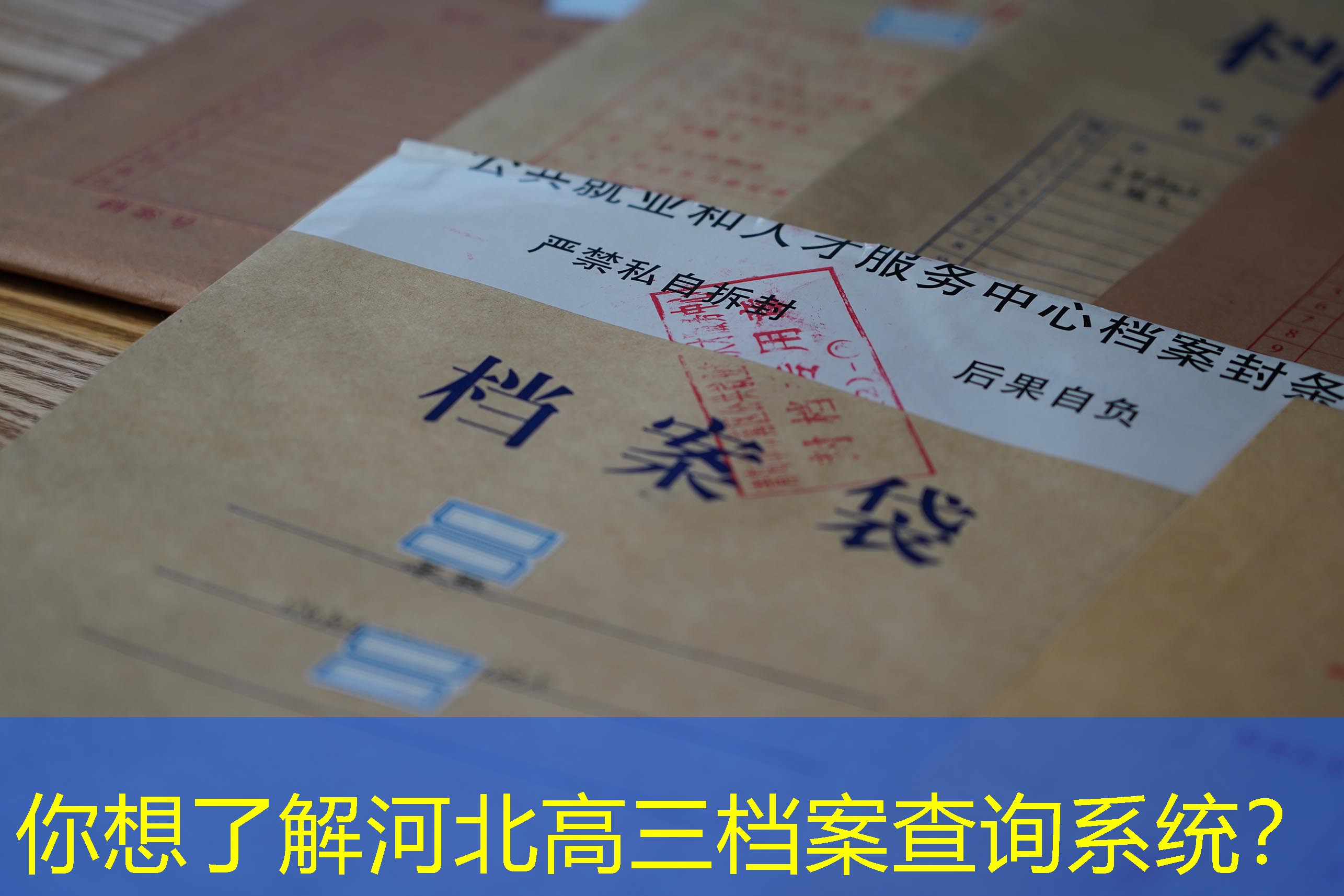 档案查询